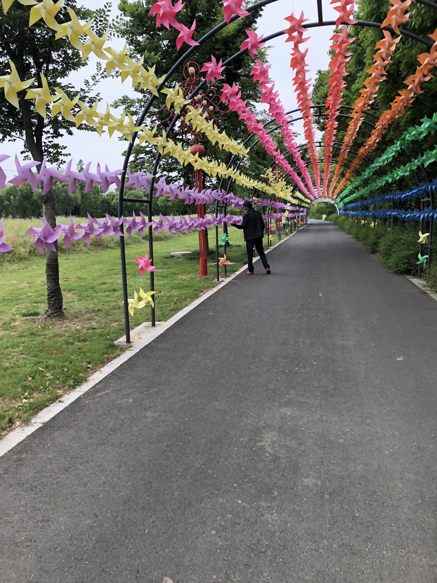 牟家文体公园旅行图片