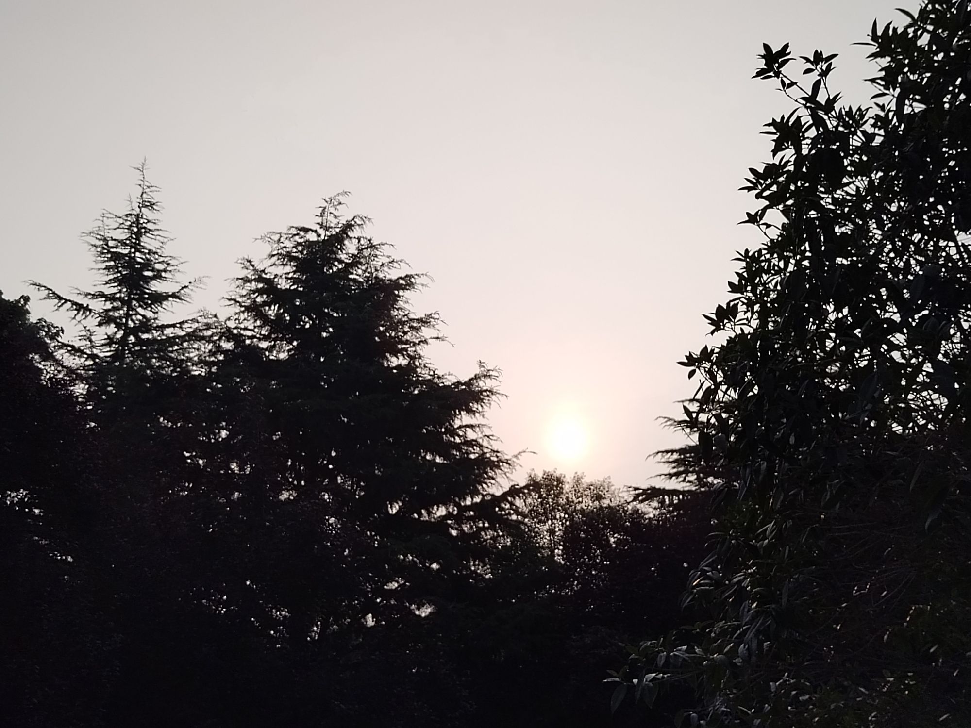 黄河体育公园旅行图片