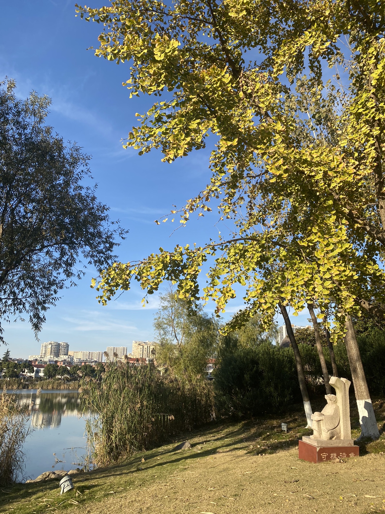 金沙公园旅行图片