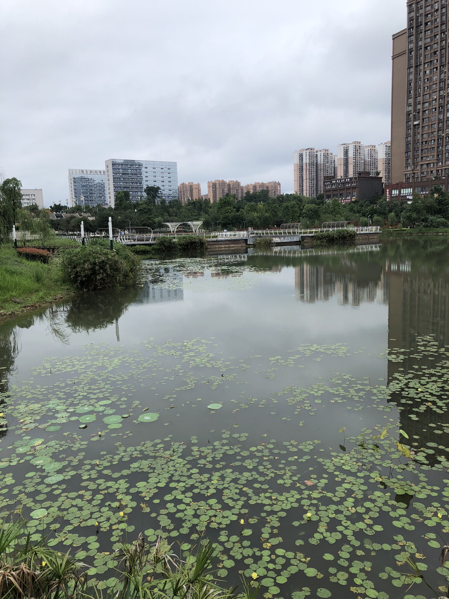 城市水体公园旅行图片