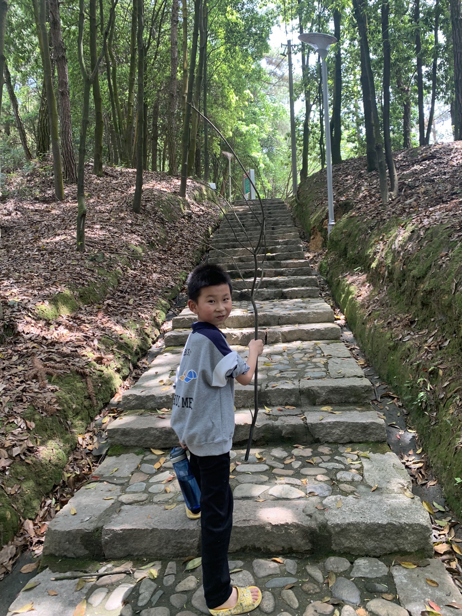 梅城森林公园旅行图片