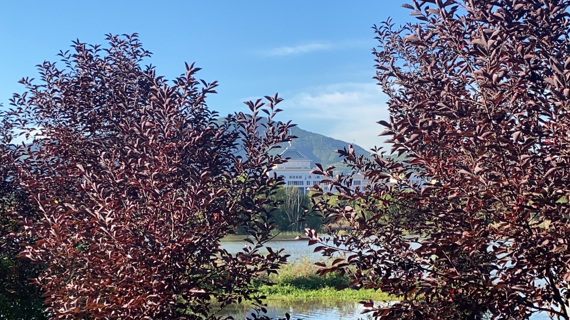 滨河公园旅行图片