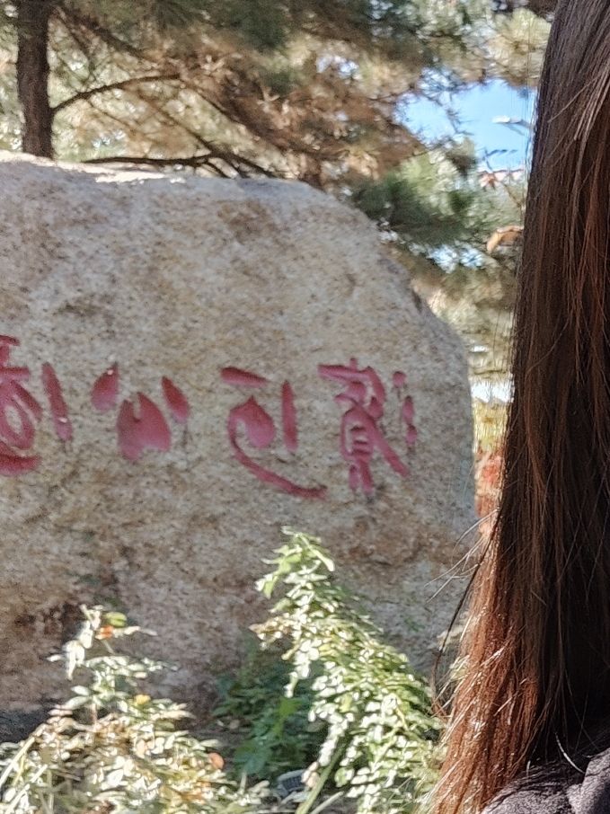滨河公园旅行图片
