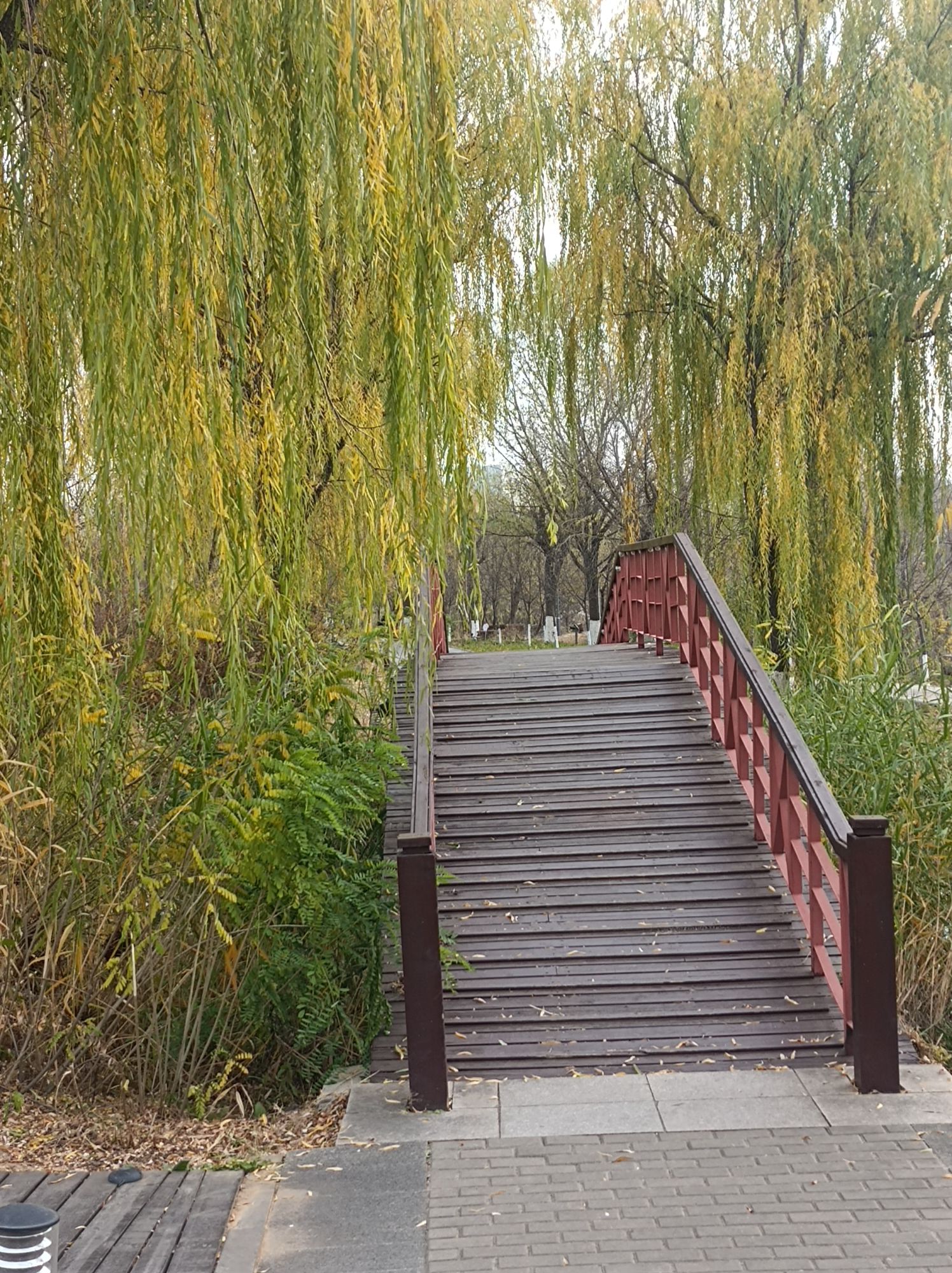 滨河公园旅行图片