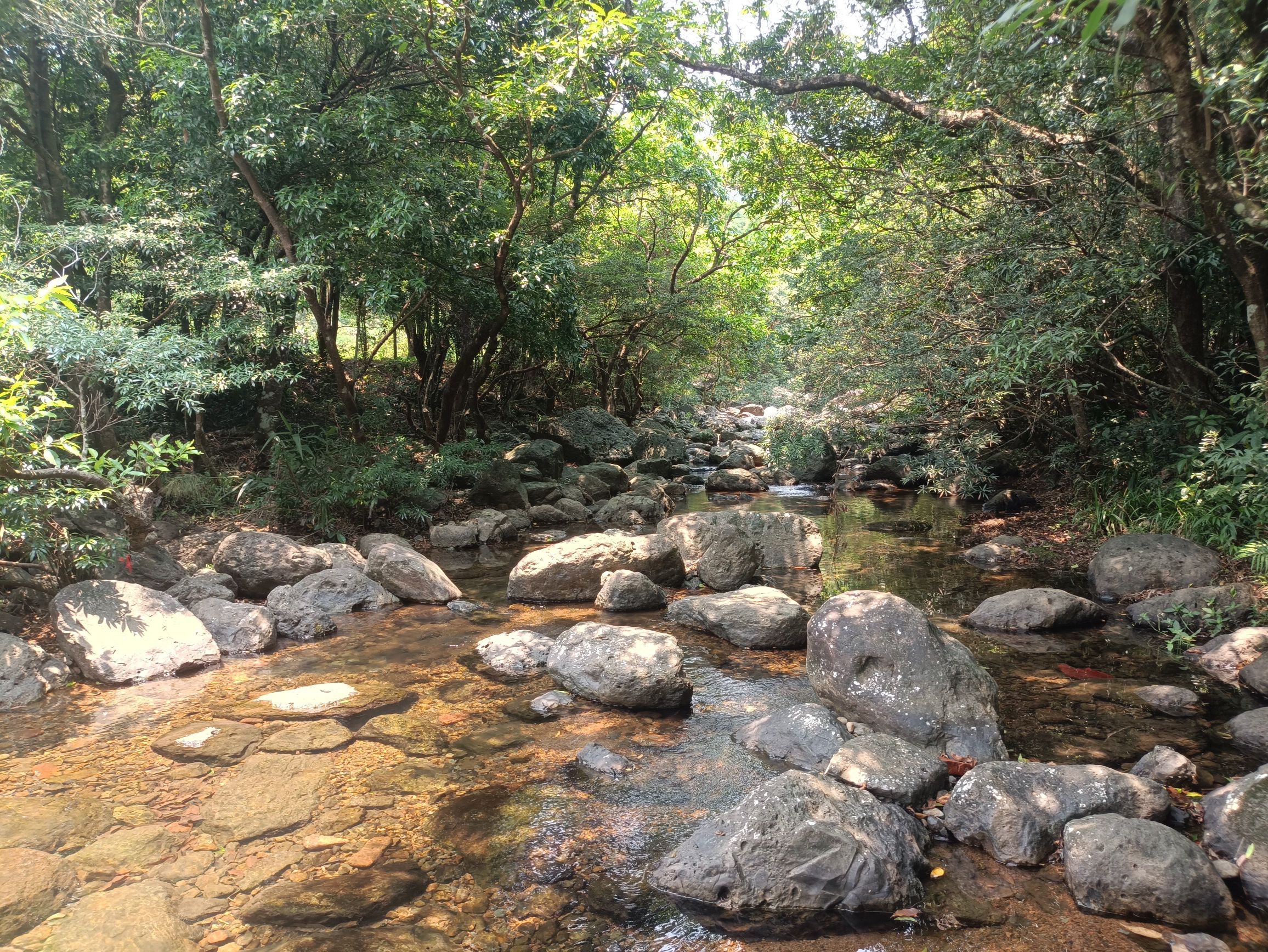南山景区旅行图片