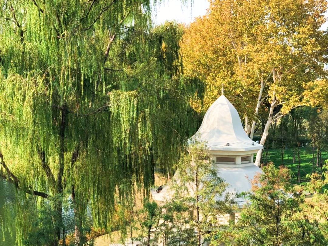 常青花园中心公园