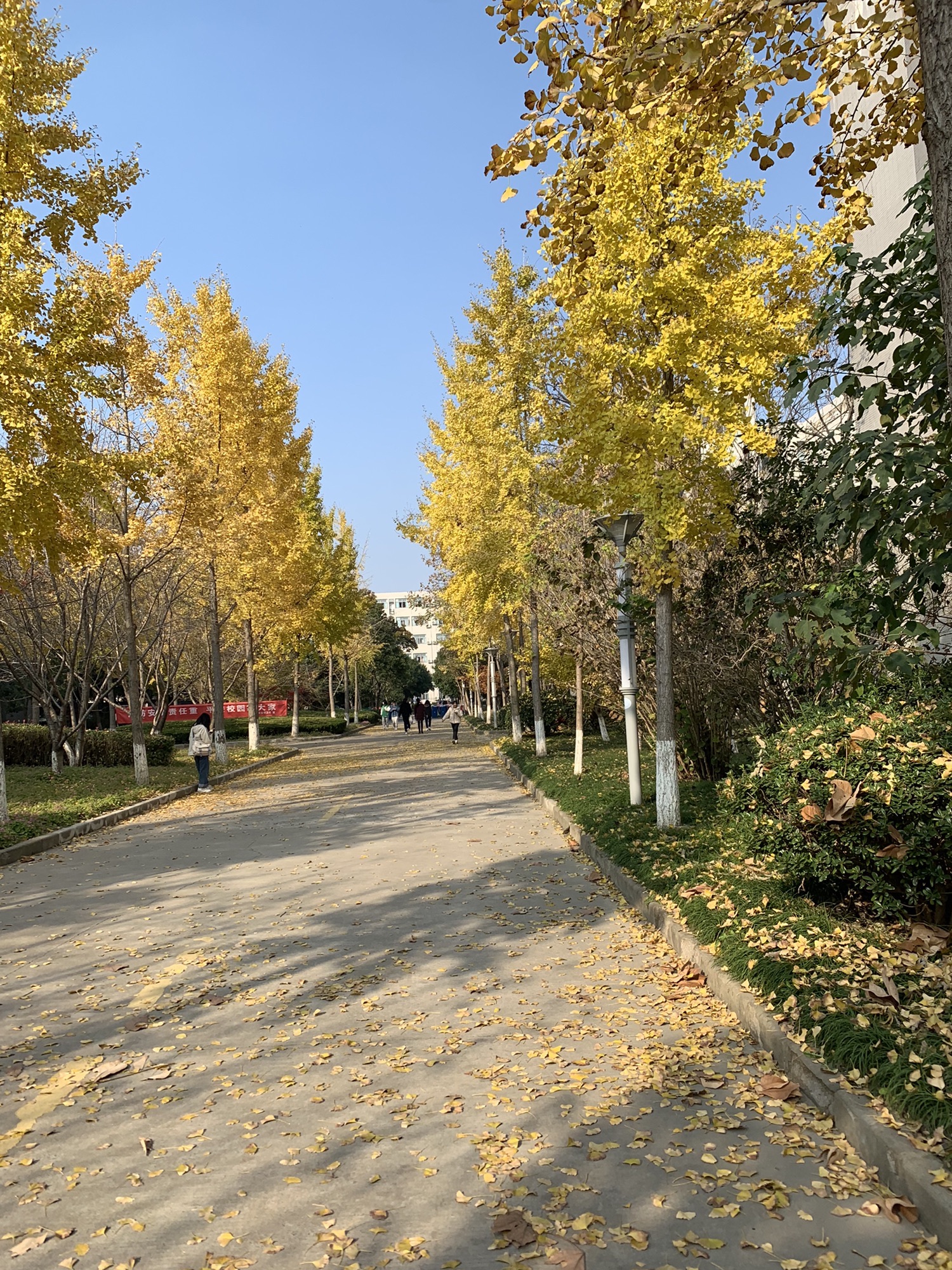 丽都公园