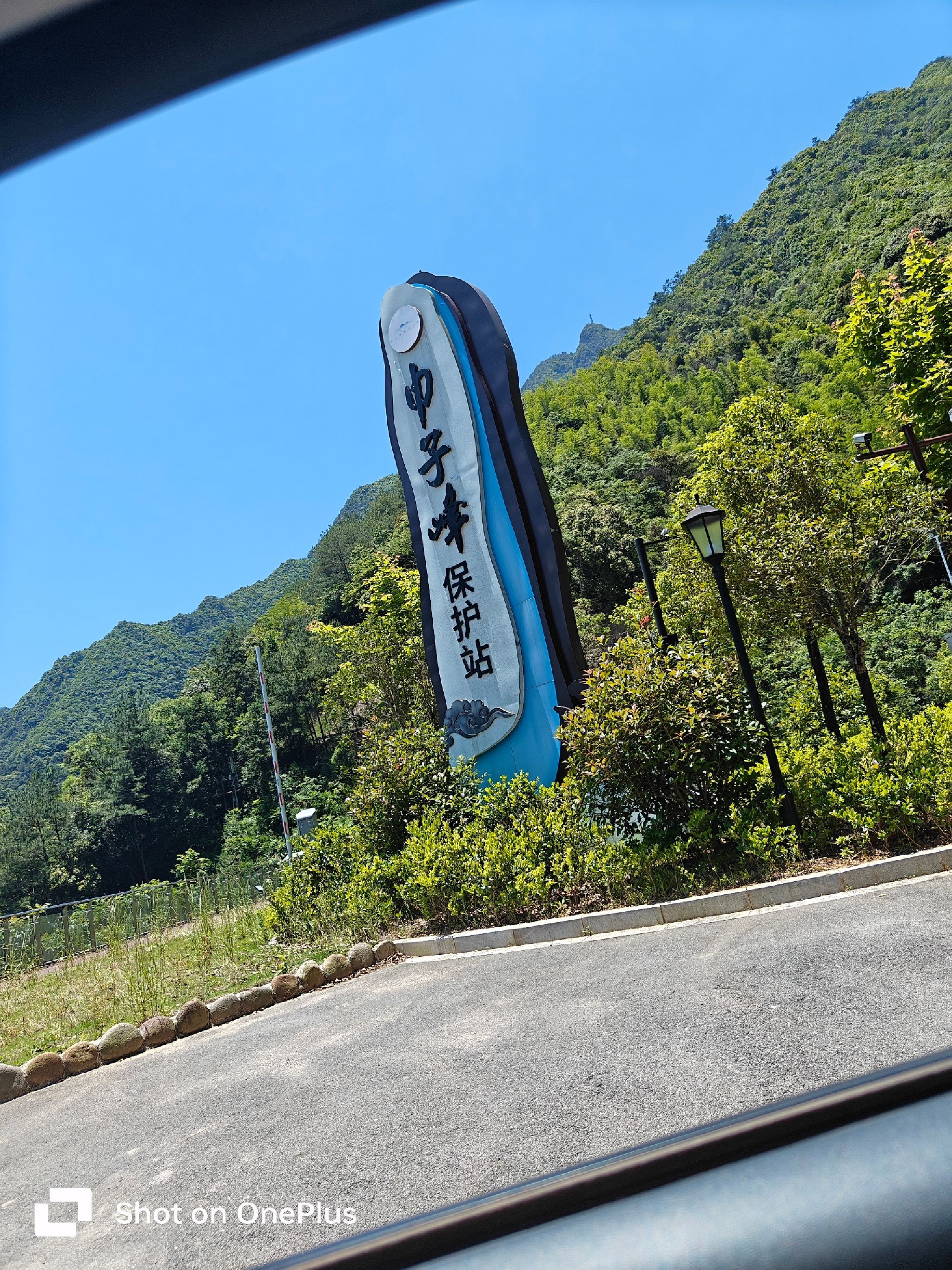 庆元县巾子峰国家森林公园