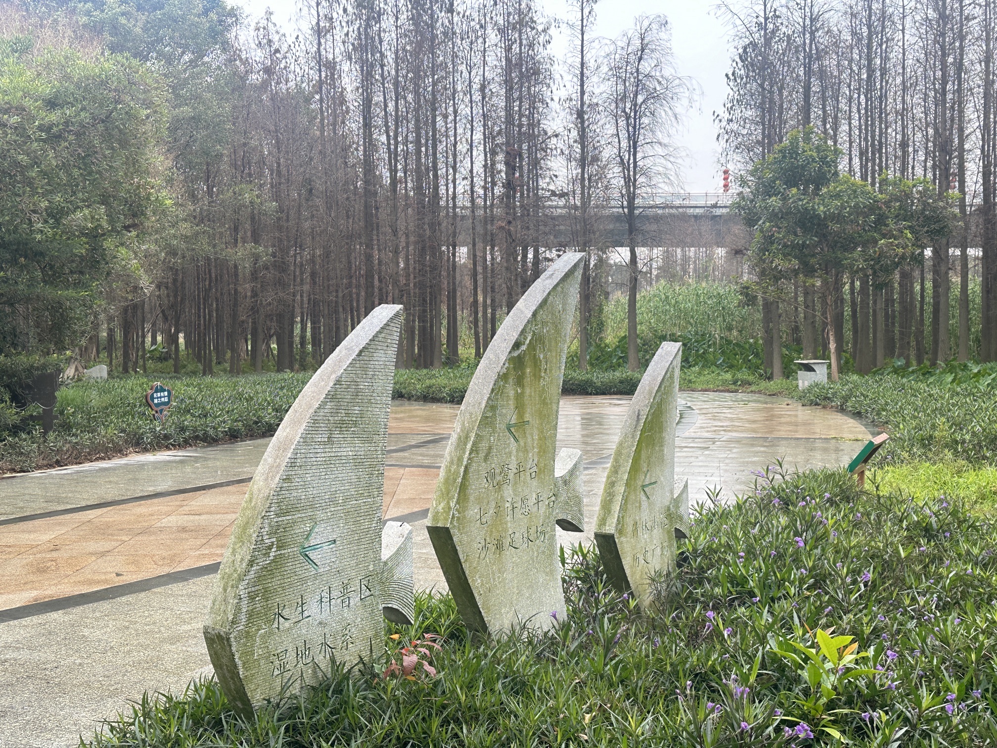 绿岛湖湿地公园