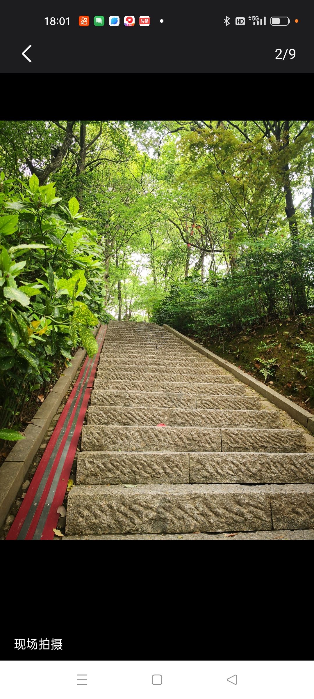 宝塔山