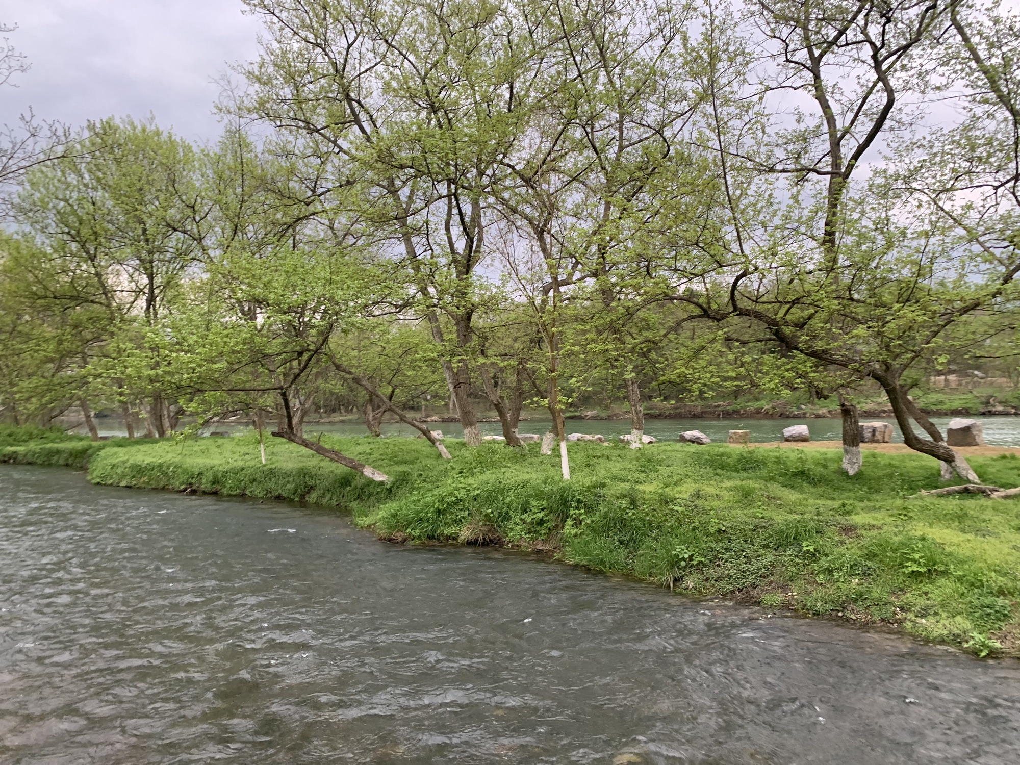 东安紫水国家湿地公园旅行图片