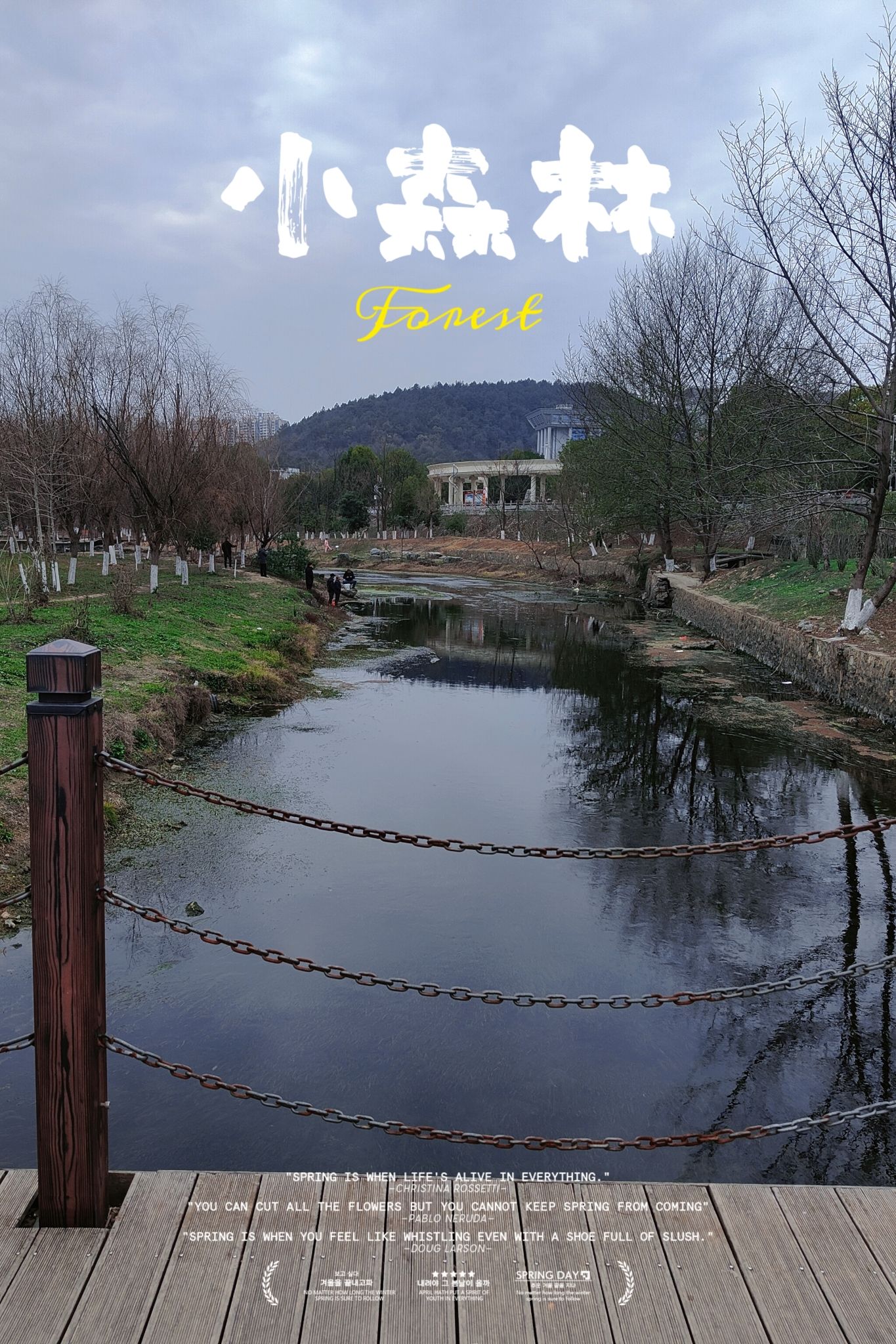 东安紫水国家湿地公园旅行图片