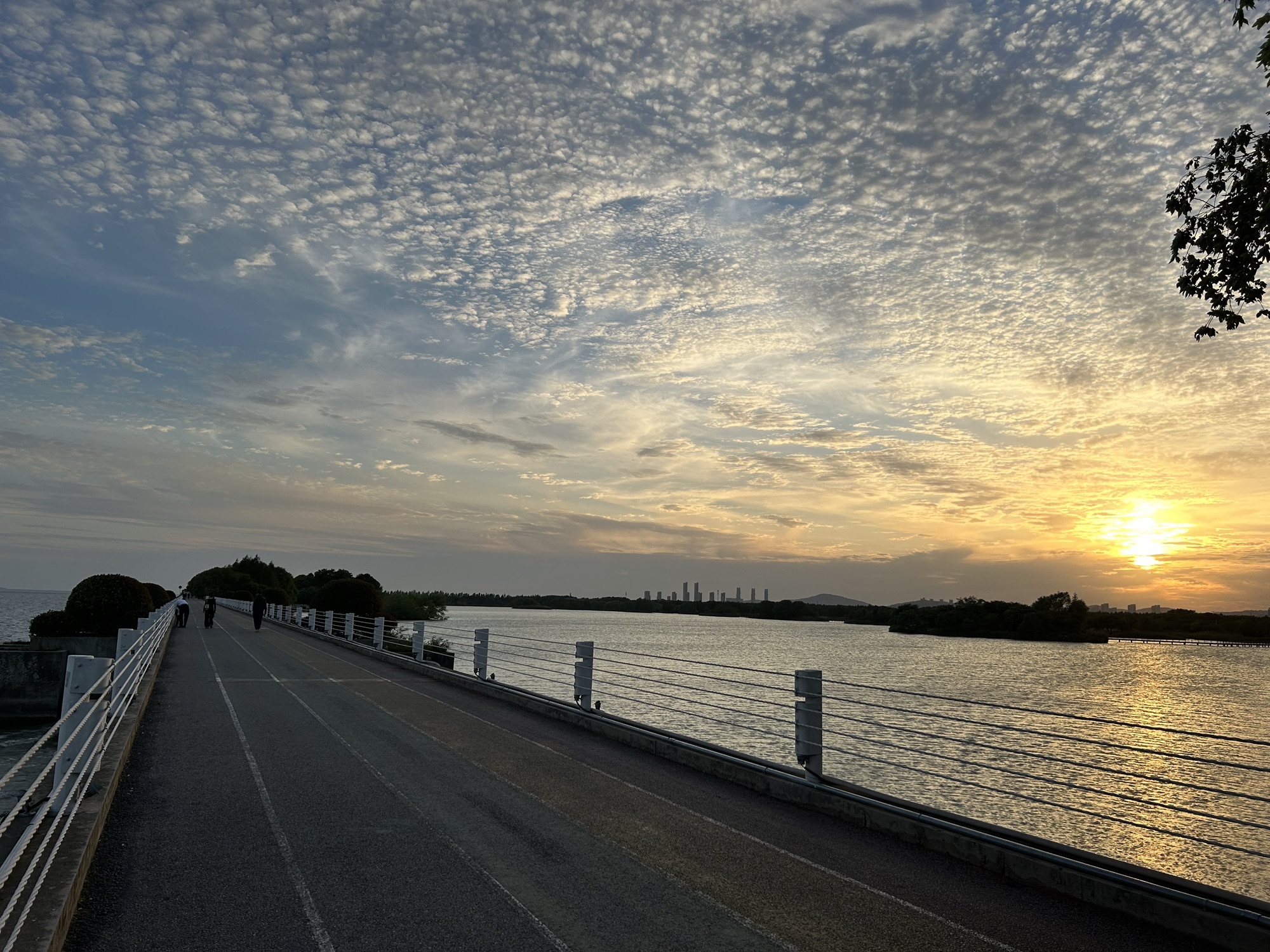 贡湖湾湿地公园