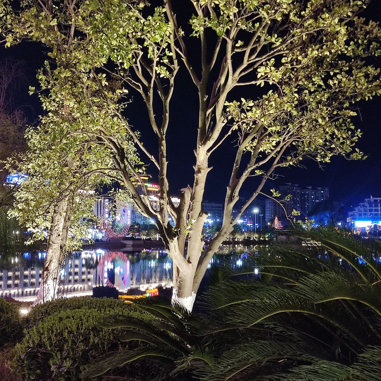 岭秀湖市民公园