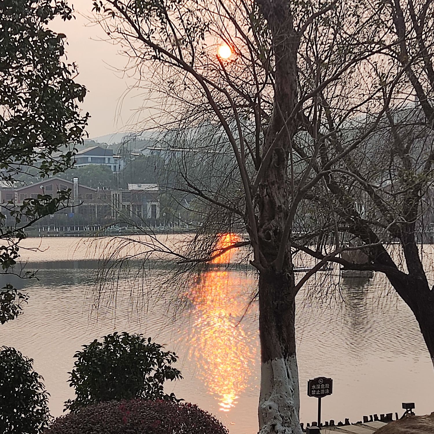 岭秀湖市民公园旅行图片