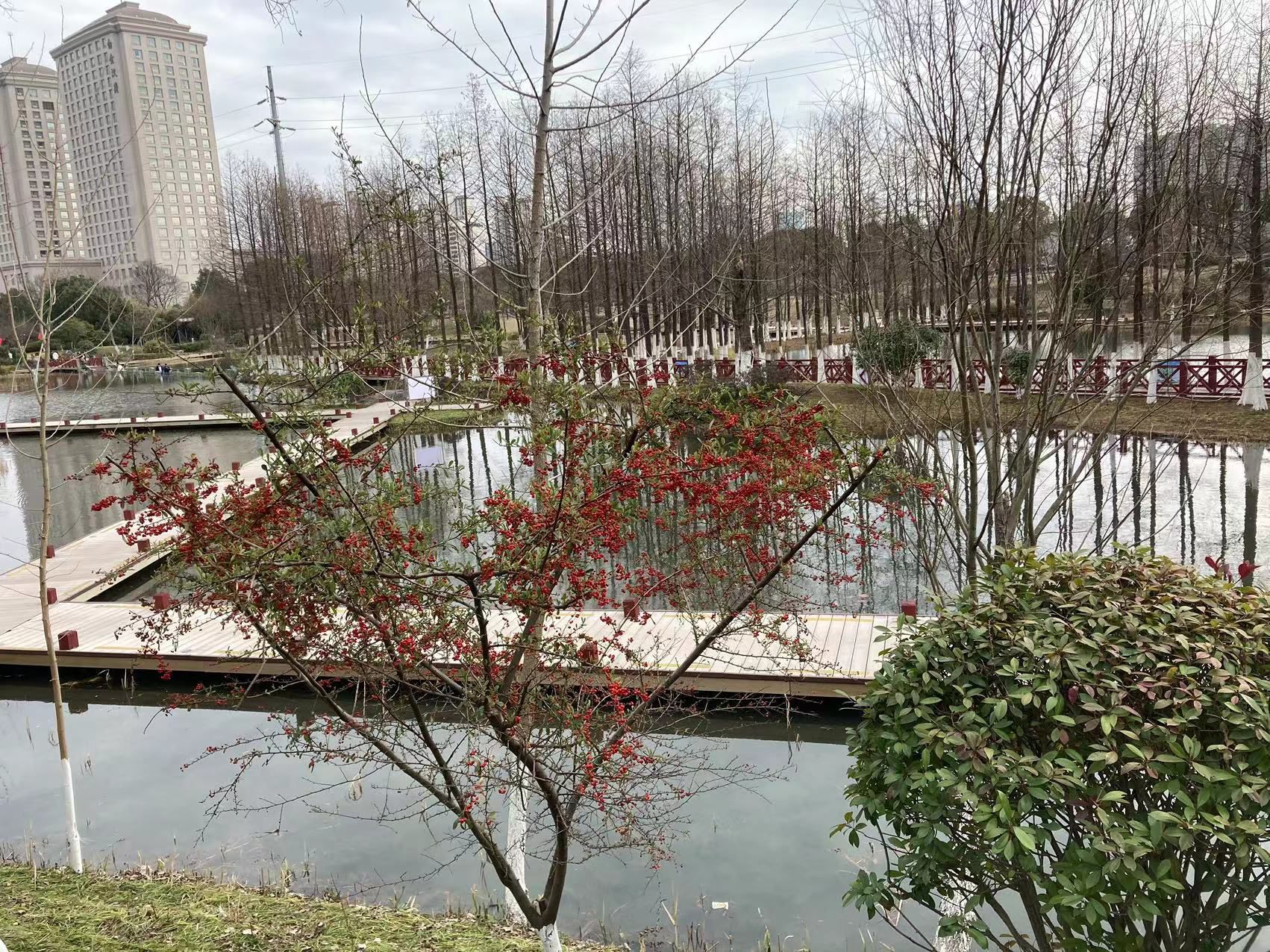 丁塘河湿地公园
