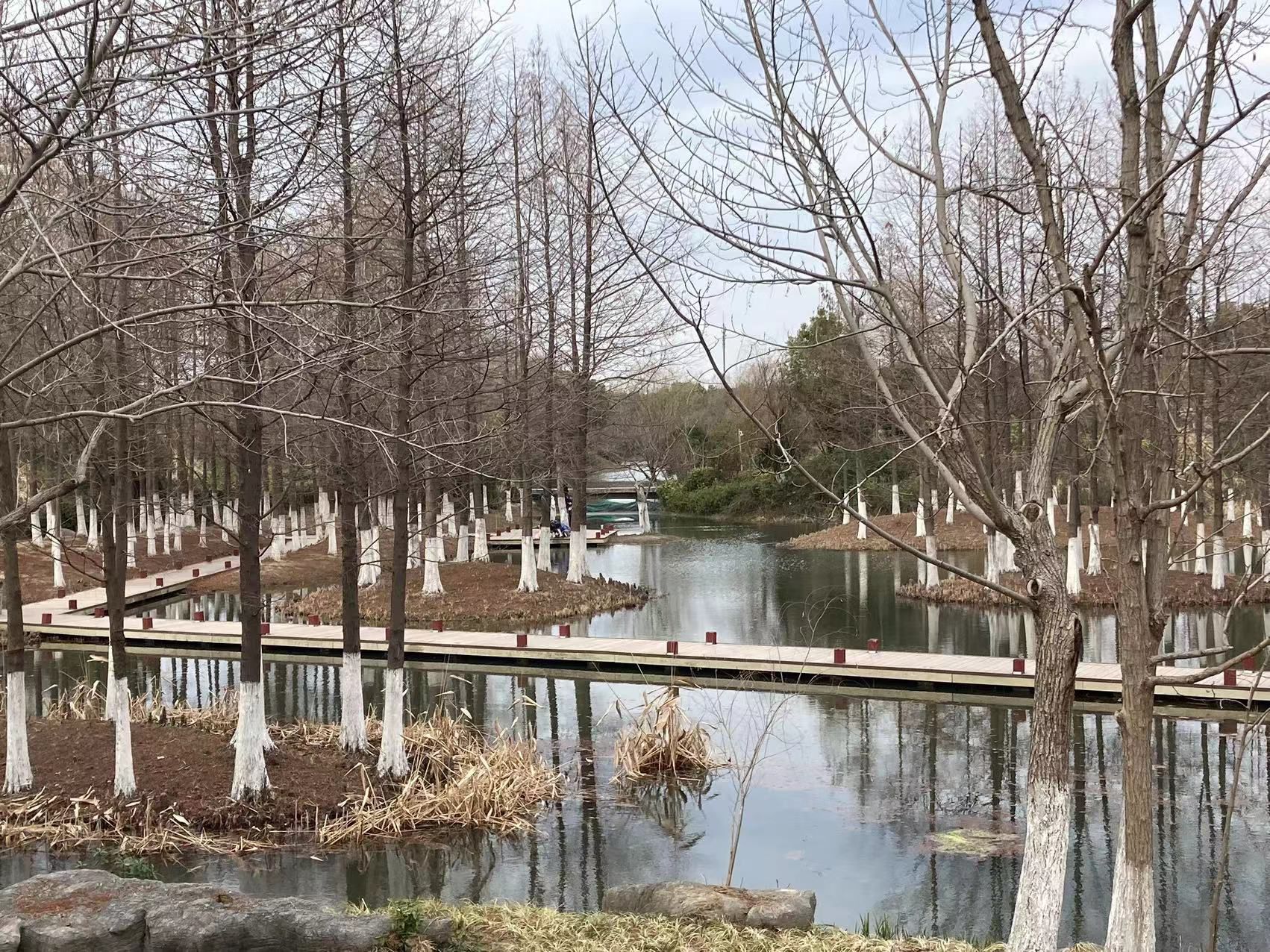 丁塘河湿地公园旅行图片