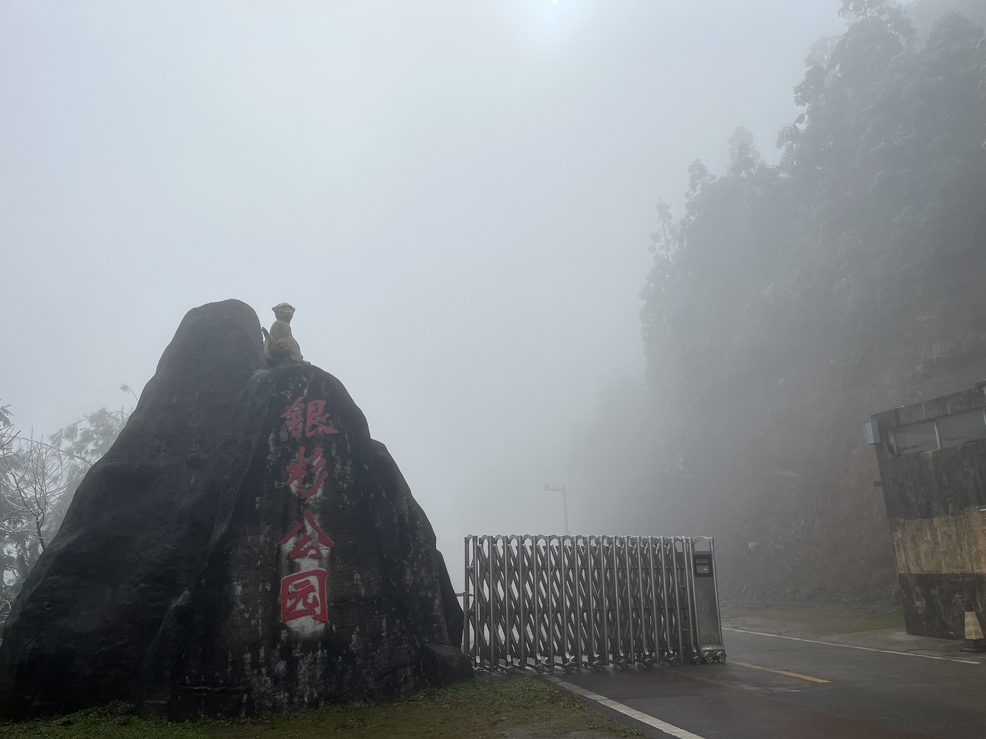 银杉公园