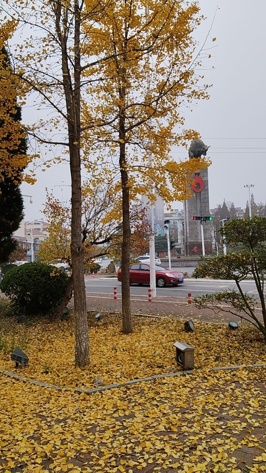 铜牛旅行图片