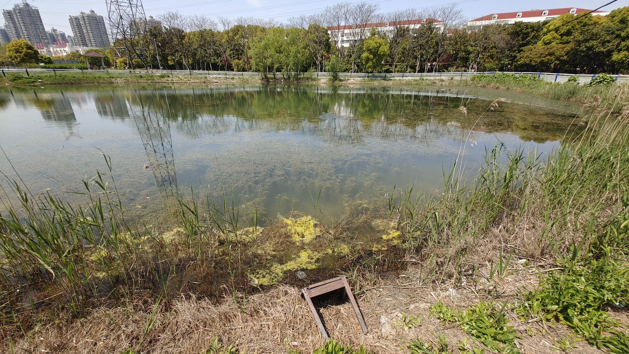 嘉美绿地旅行图片