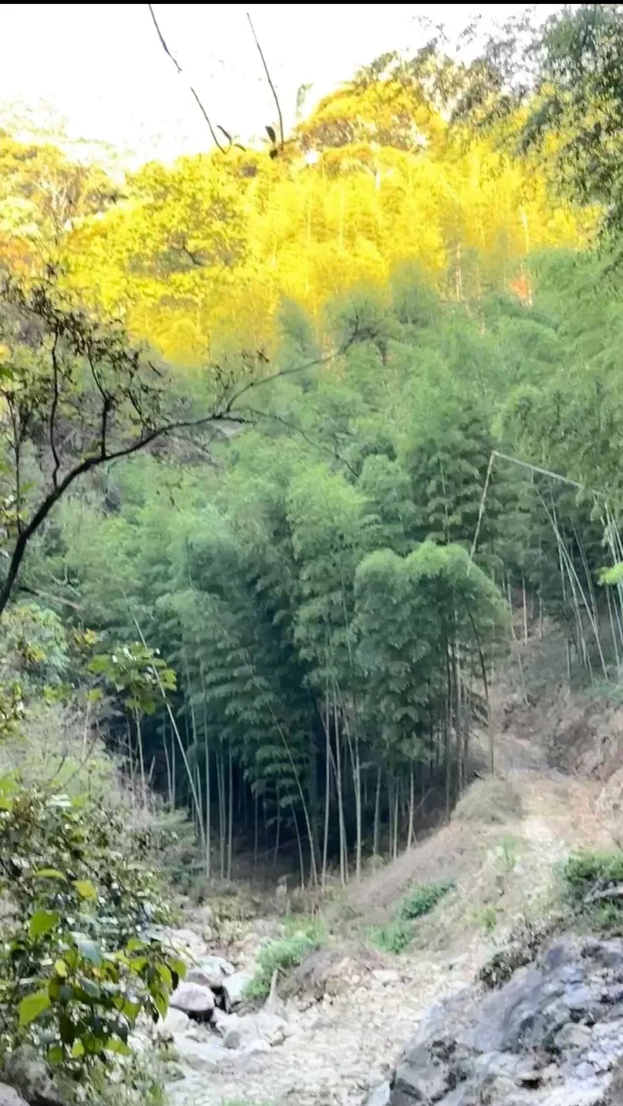 紫云山水库