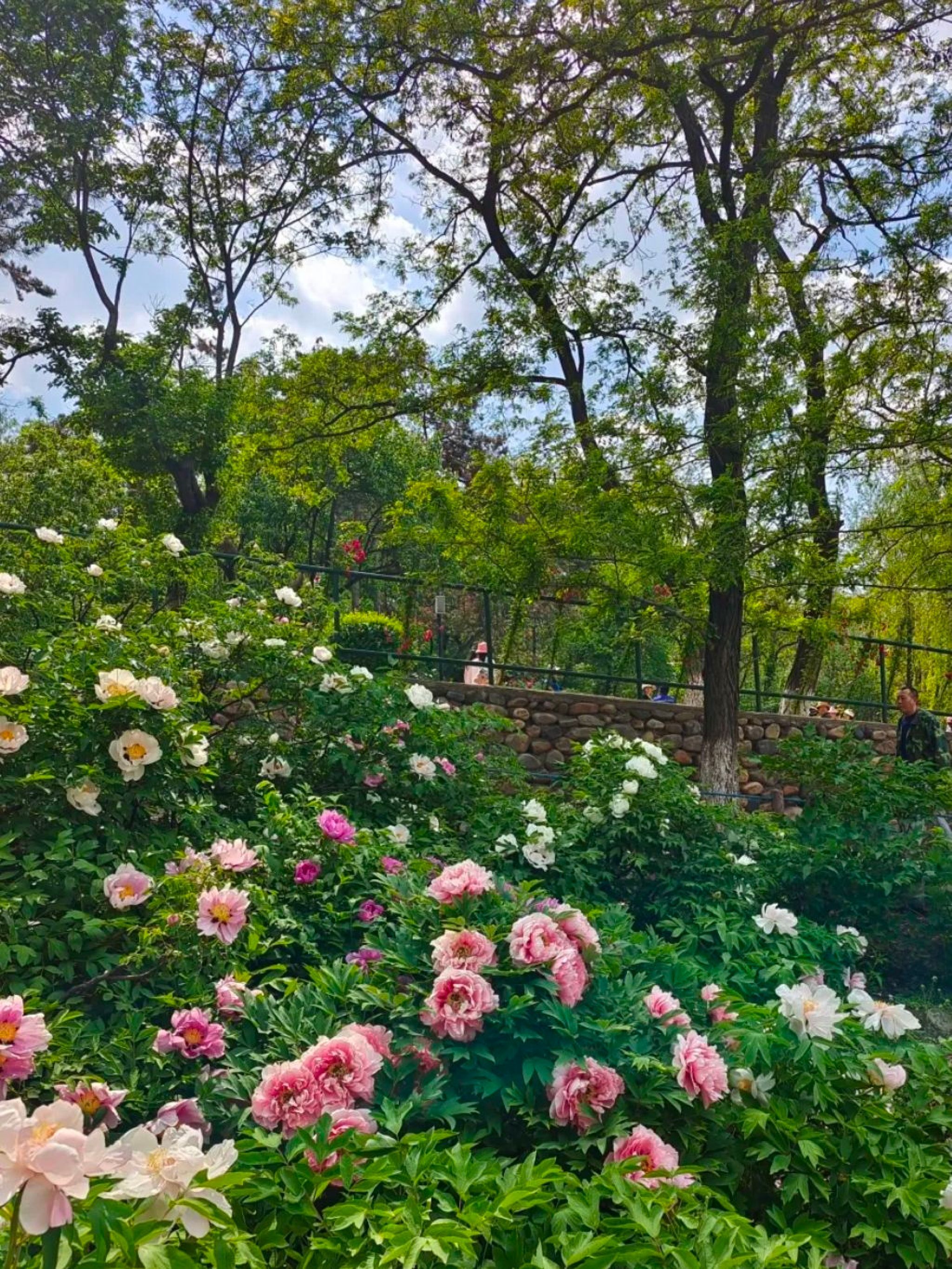本溪市动植物园旅行图片