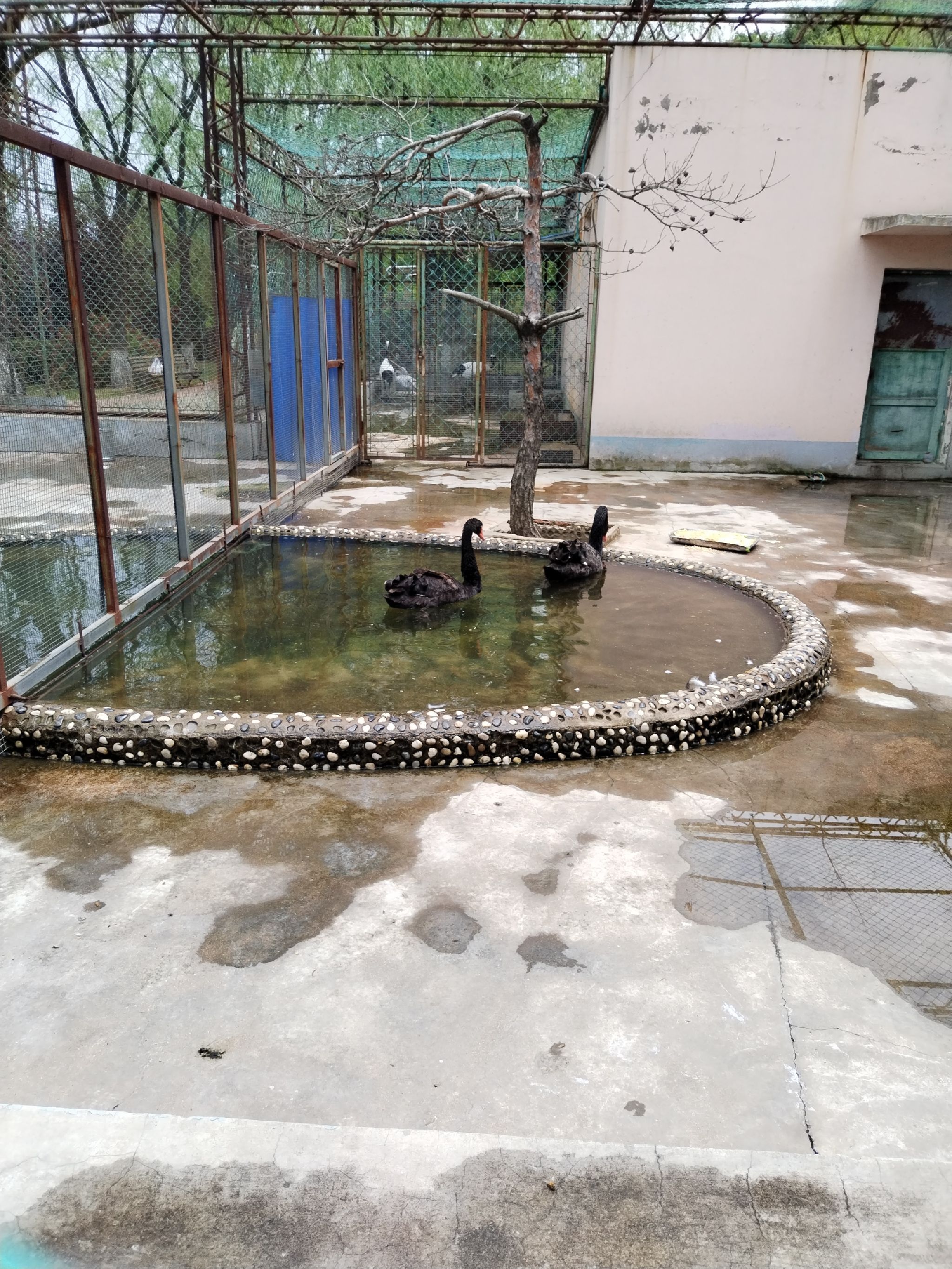 本溪市动植物园旅行图片