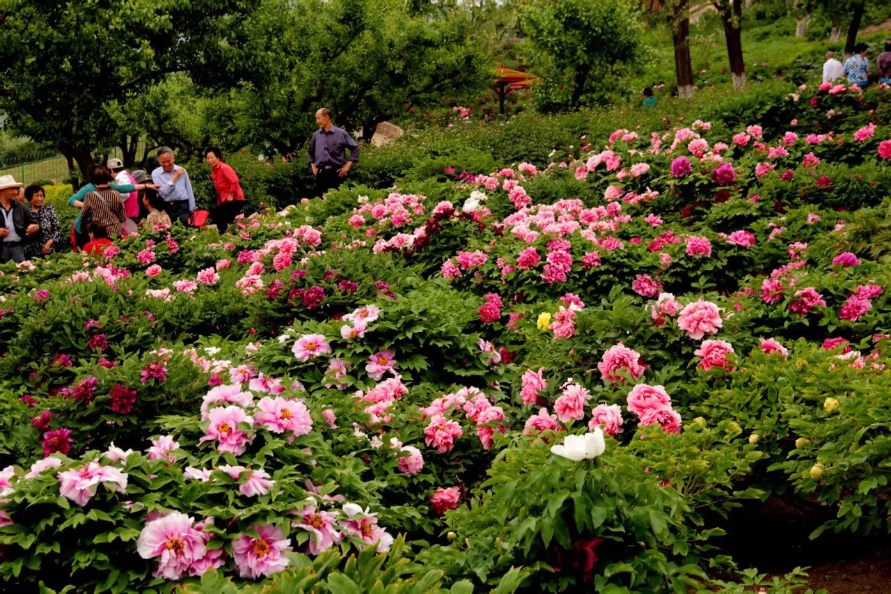 本溪市动植物园旅行图片