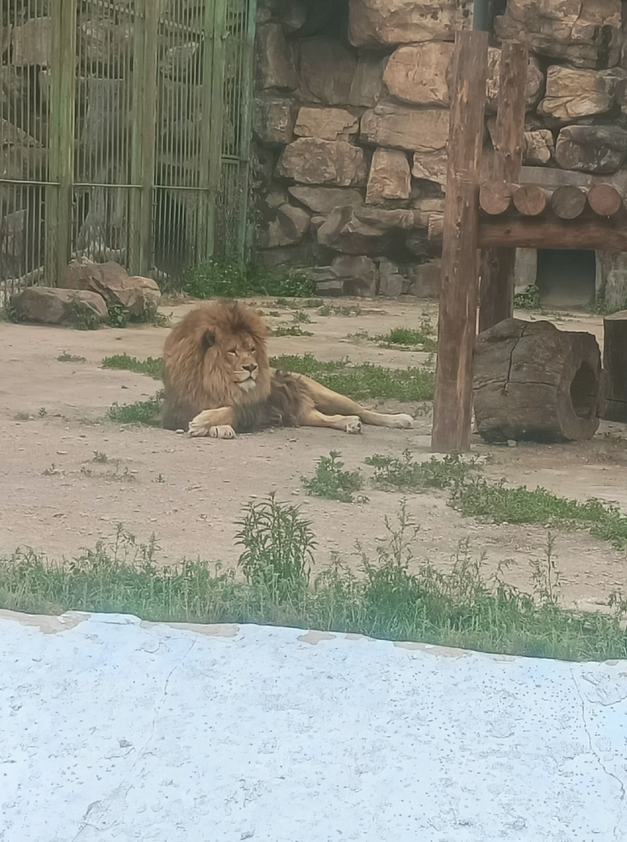 本溪市动植物园旅行图片