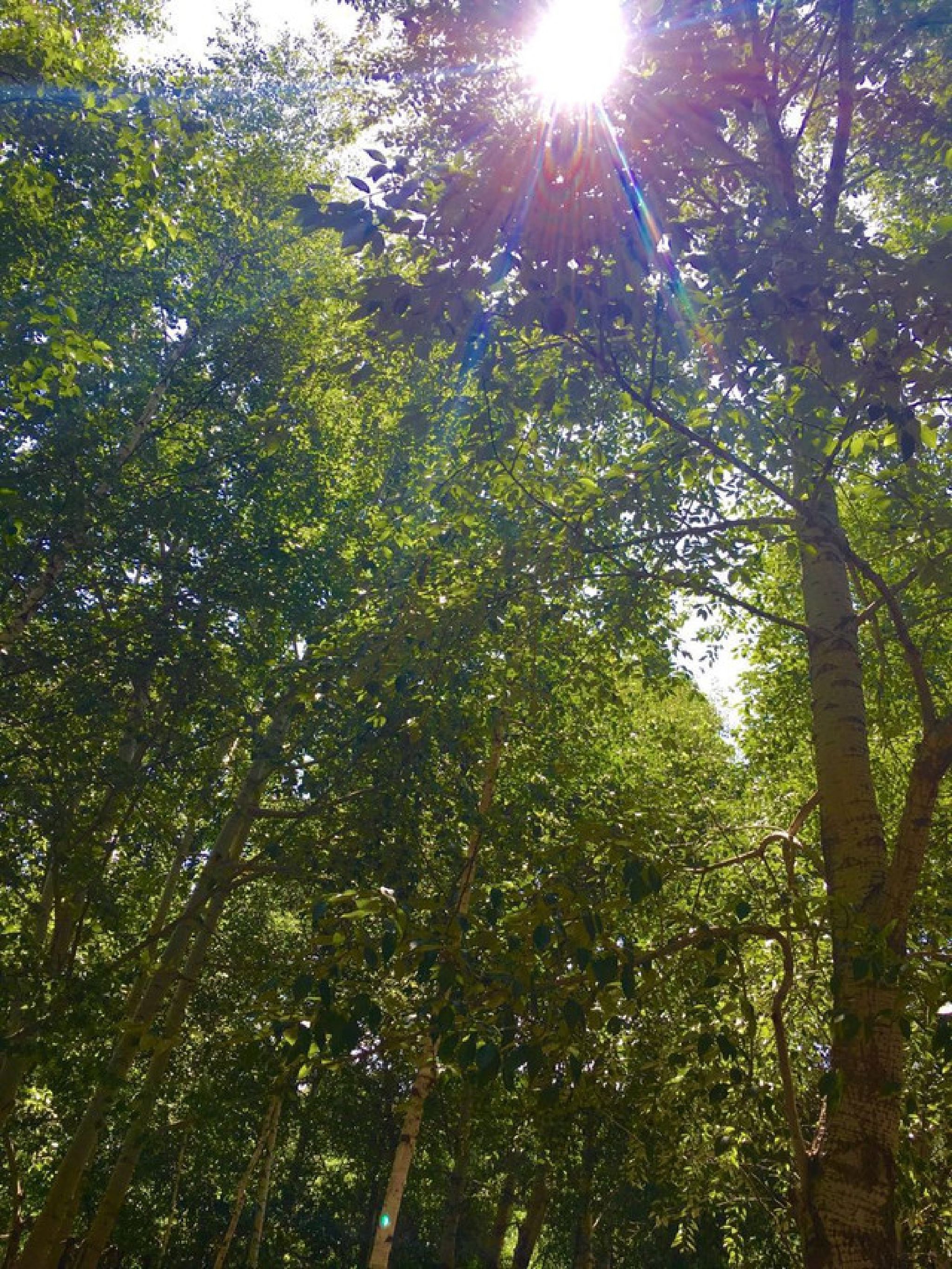 道须沟景区(暂停开放)旅行图片