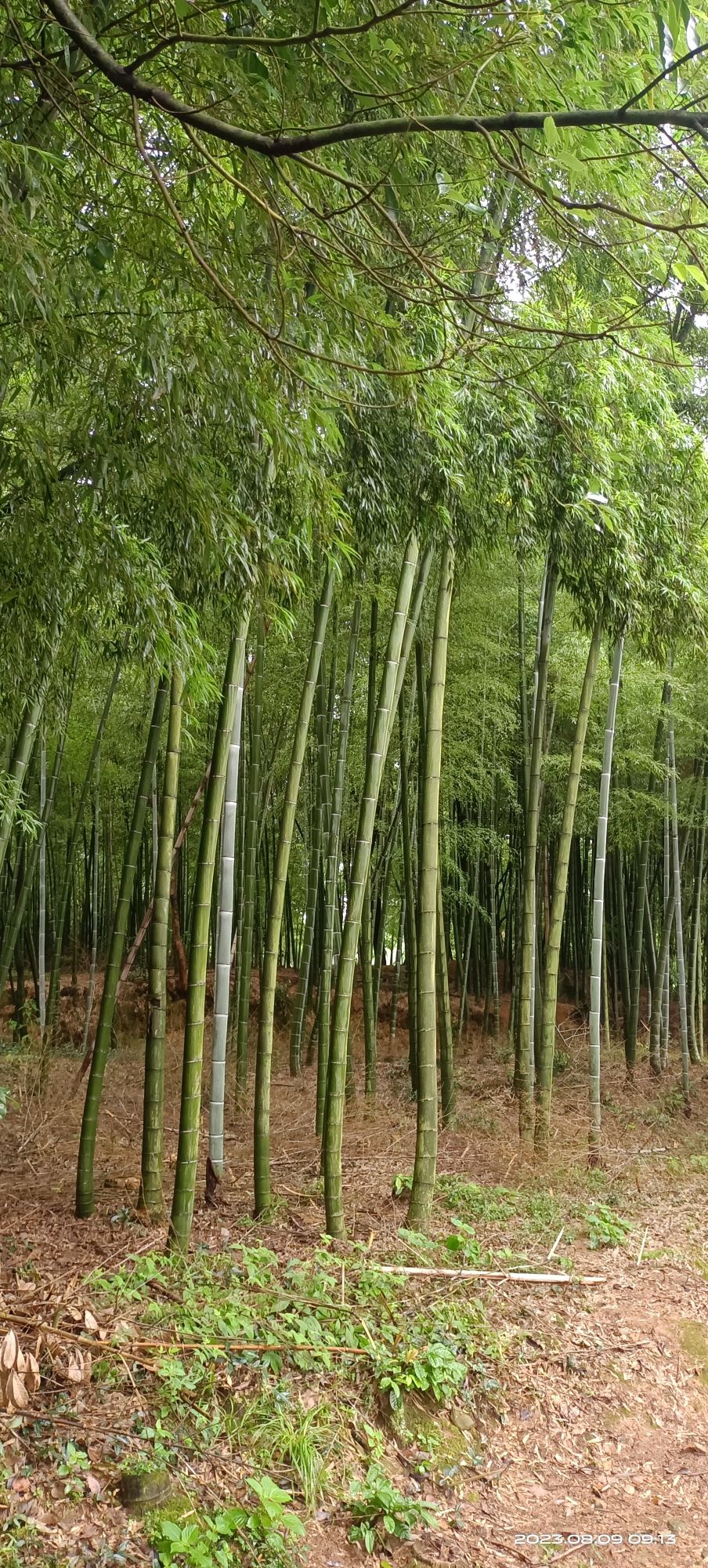 铁店窑遗址