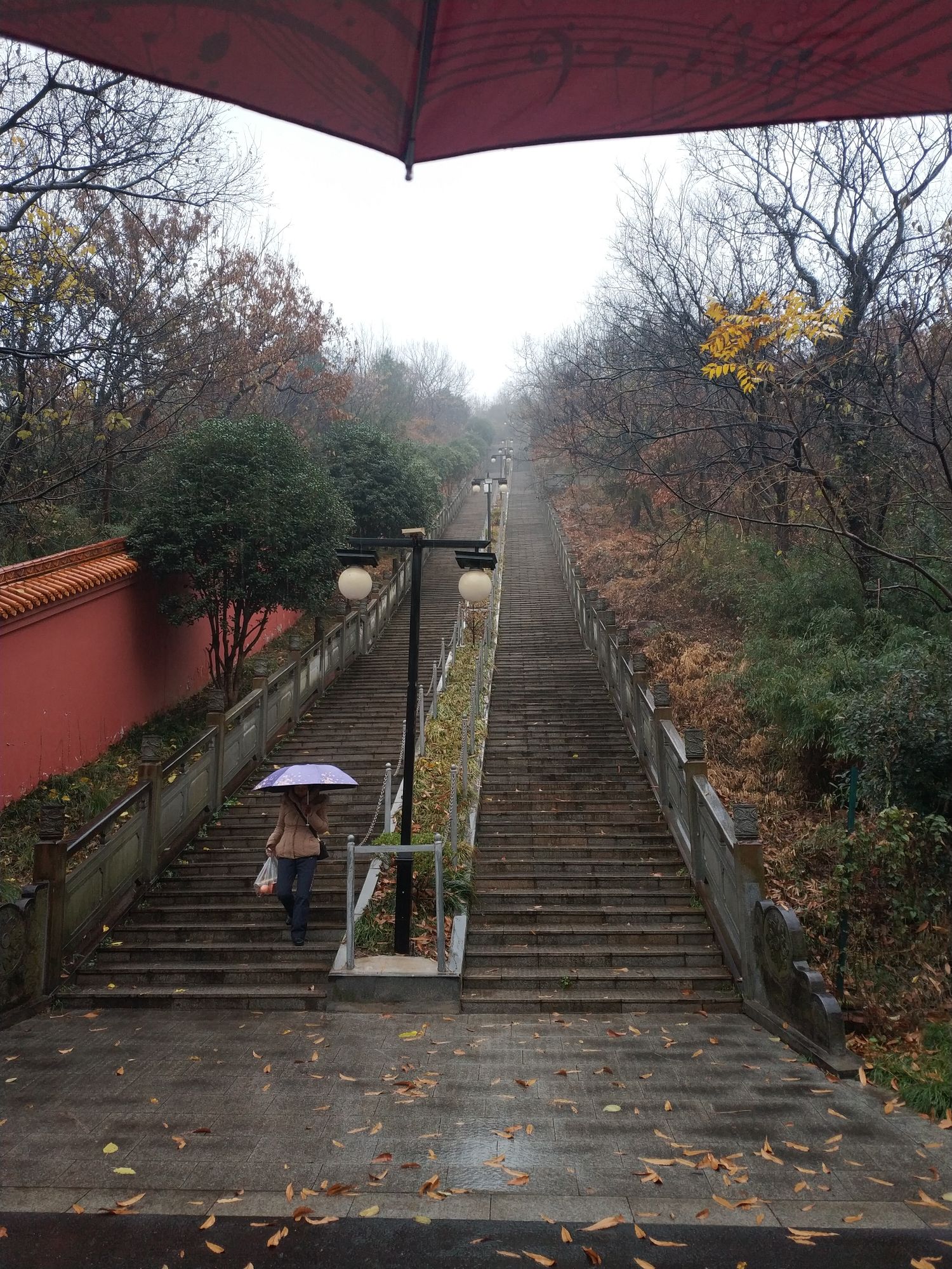小九华