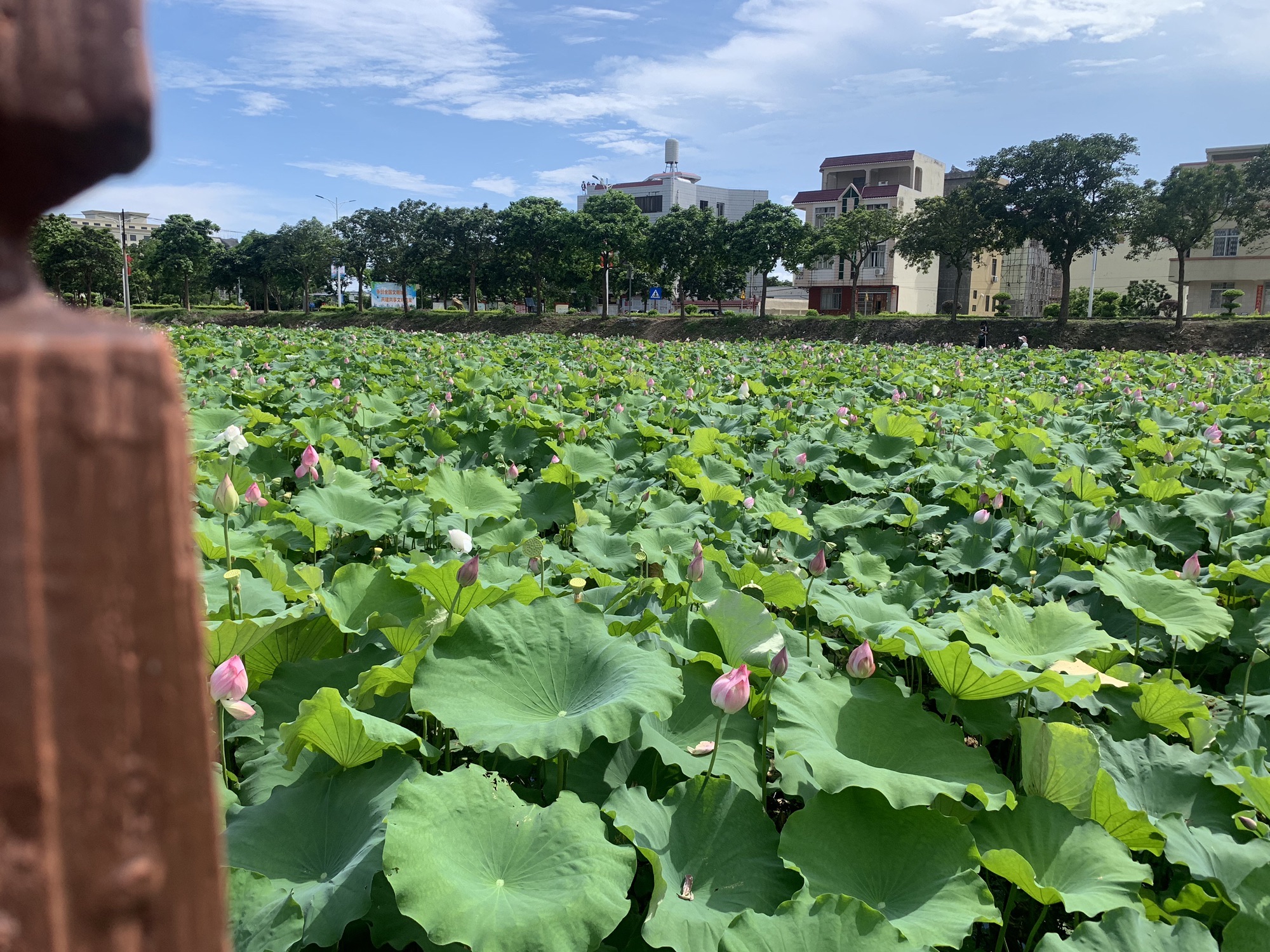 东平鸳鸯石公园