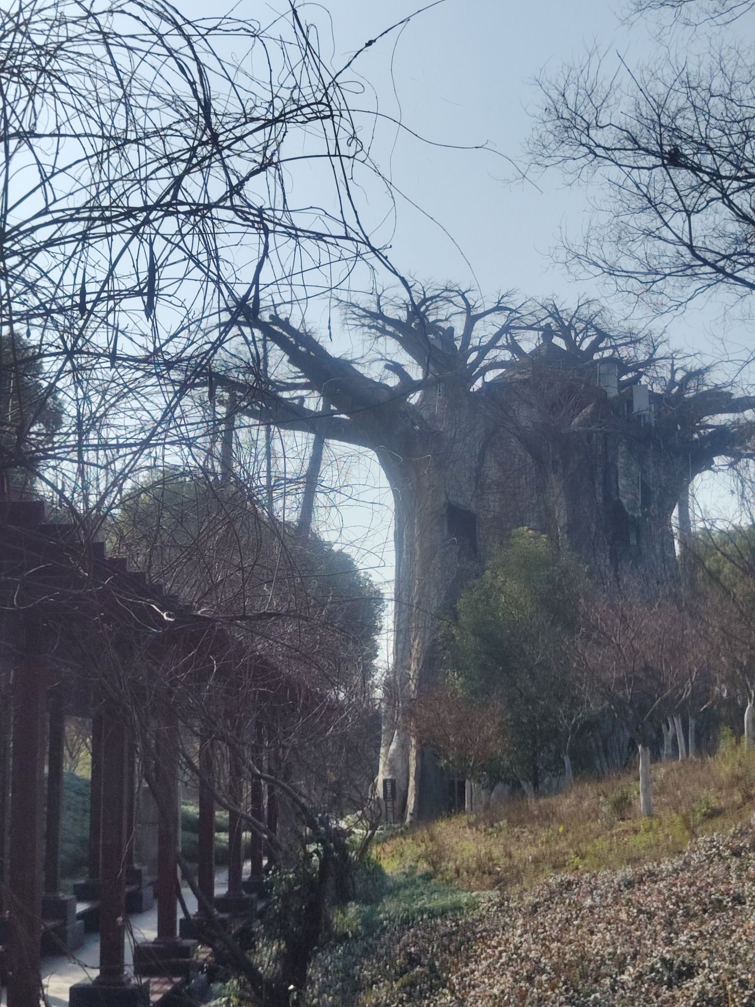 迪荡湖公园