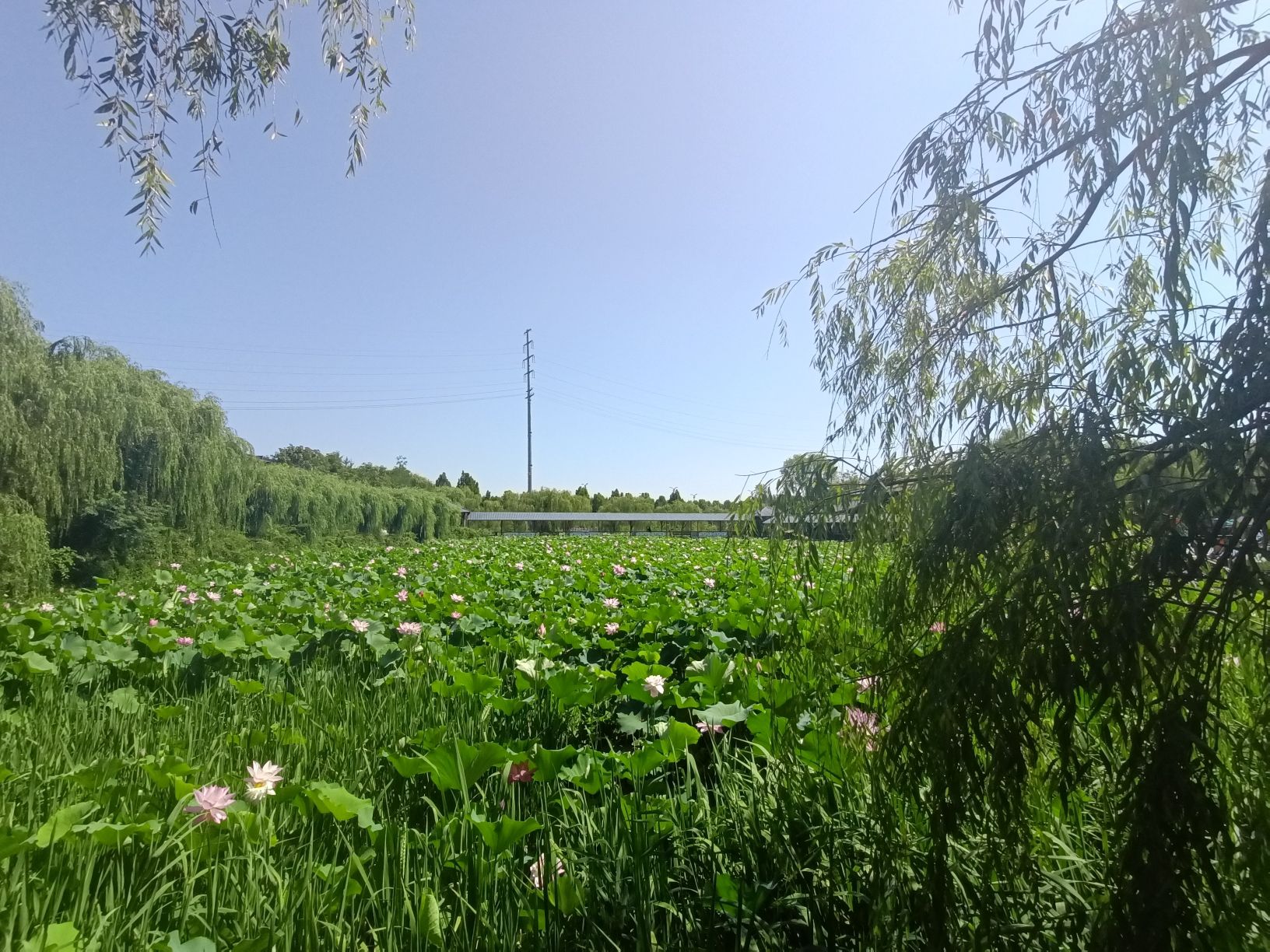 聊城南湖公园