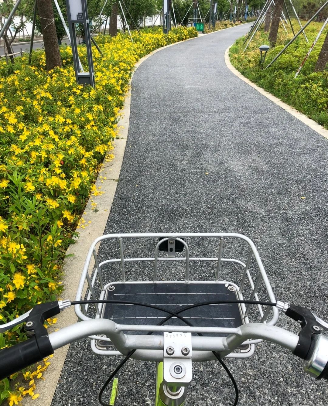 永安山地自行车公园旅行图片