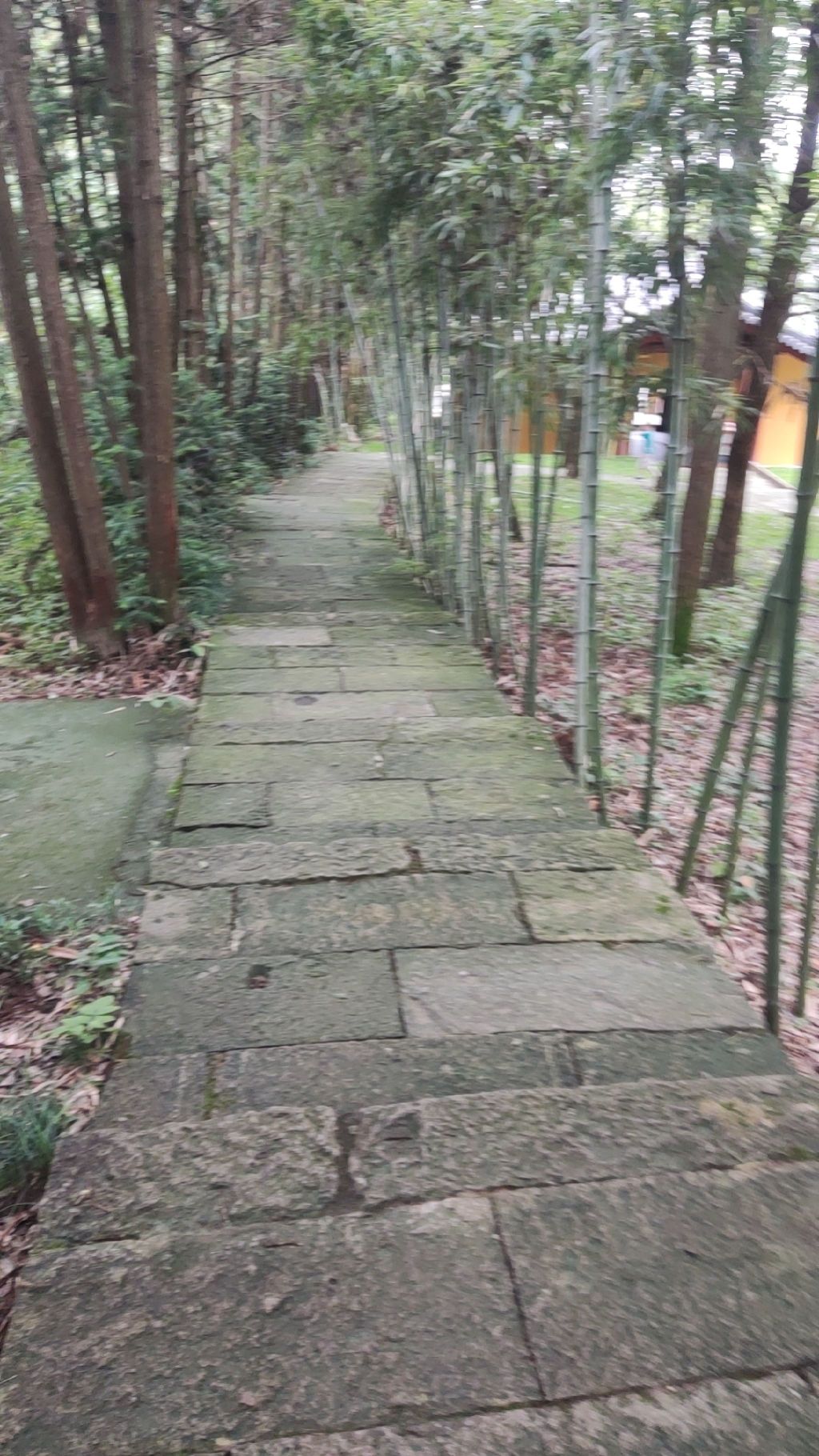 积道山