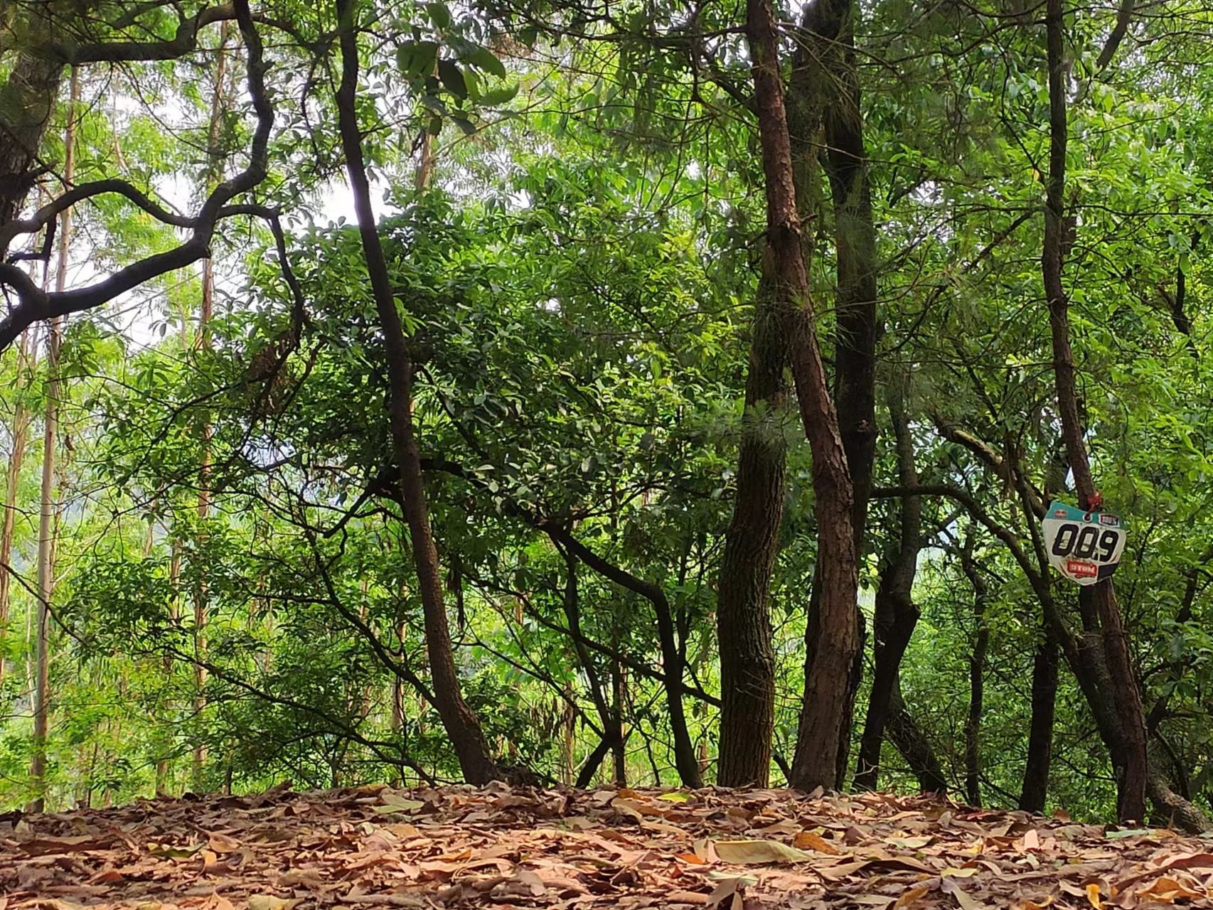 天雹水库水利风景区(不对外开放)