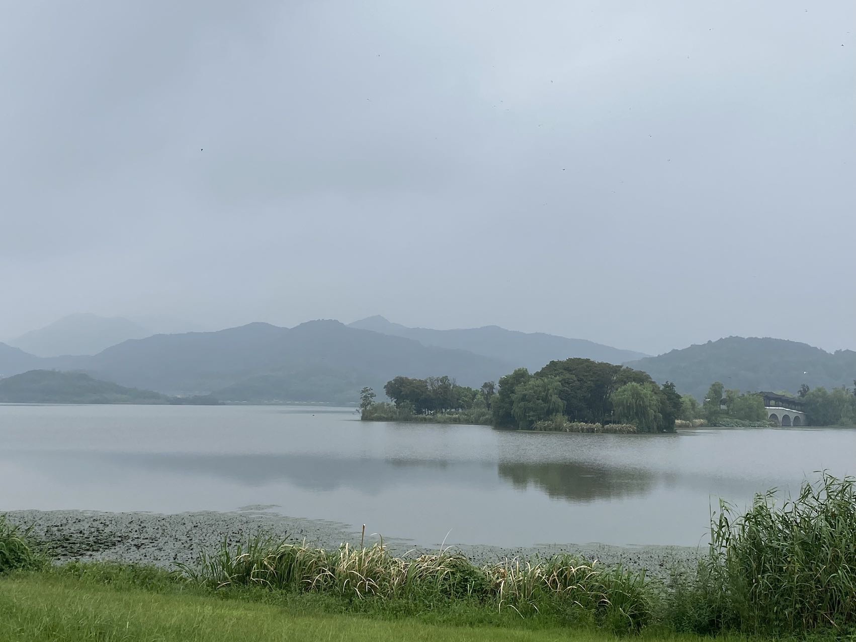 皂李湖公园