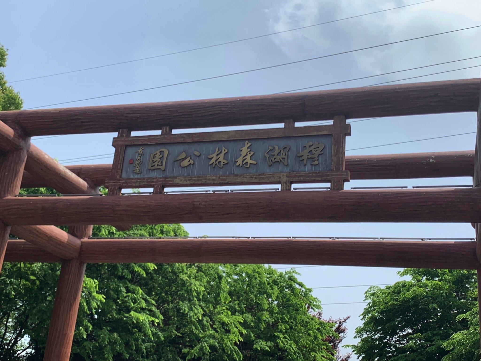 穆湖森林公园旅行图片