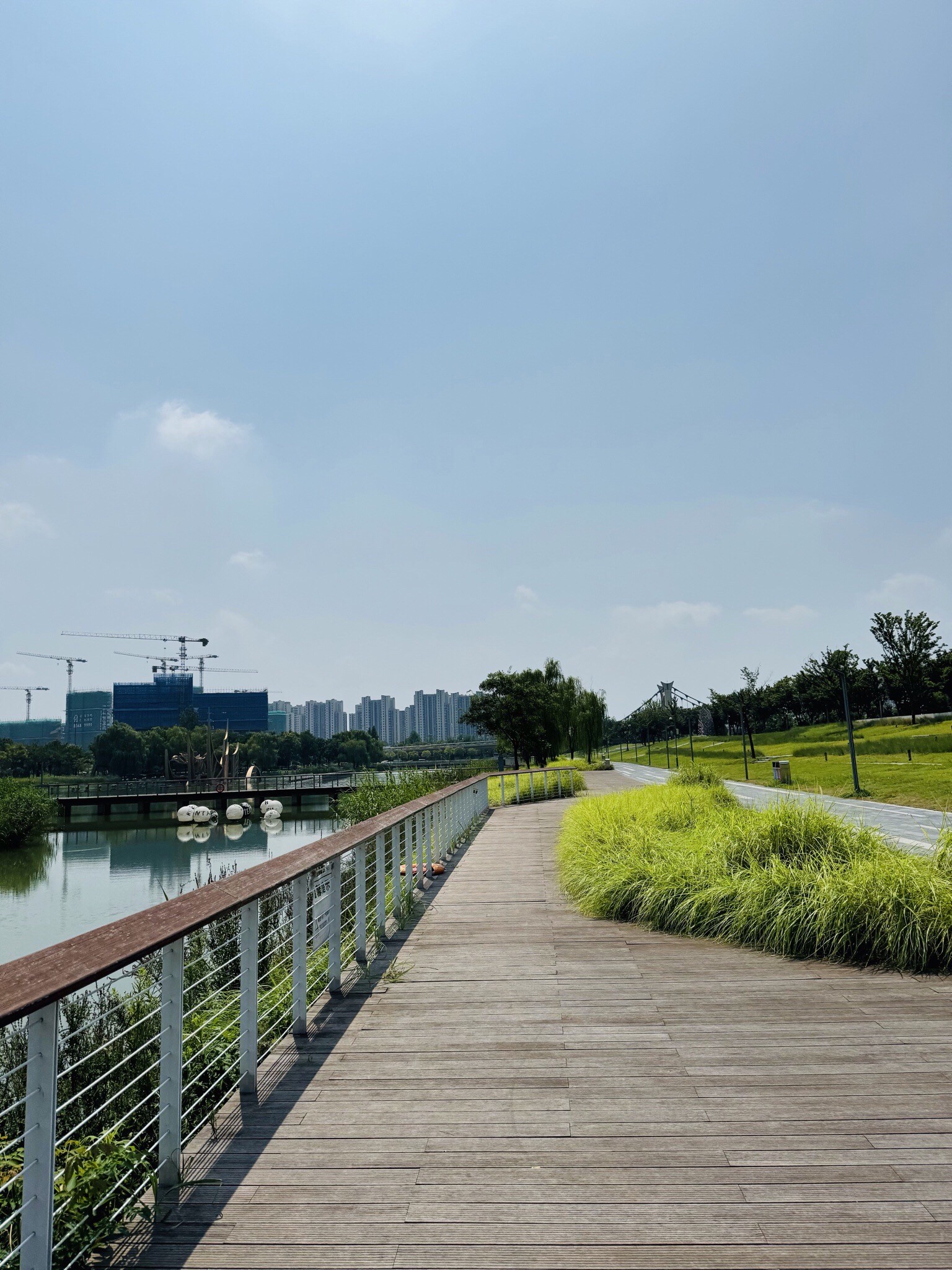 江宁(杨家圩)市民公园旅行图片