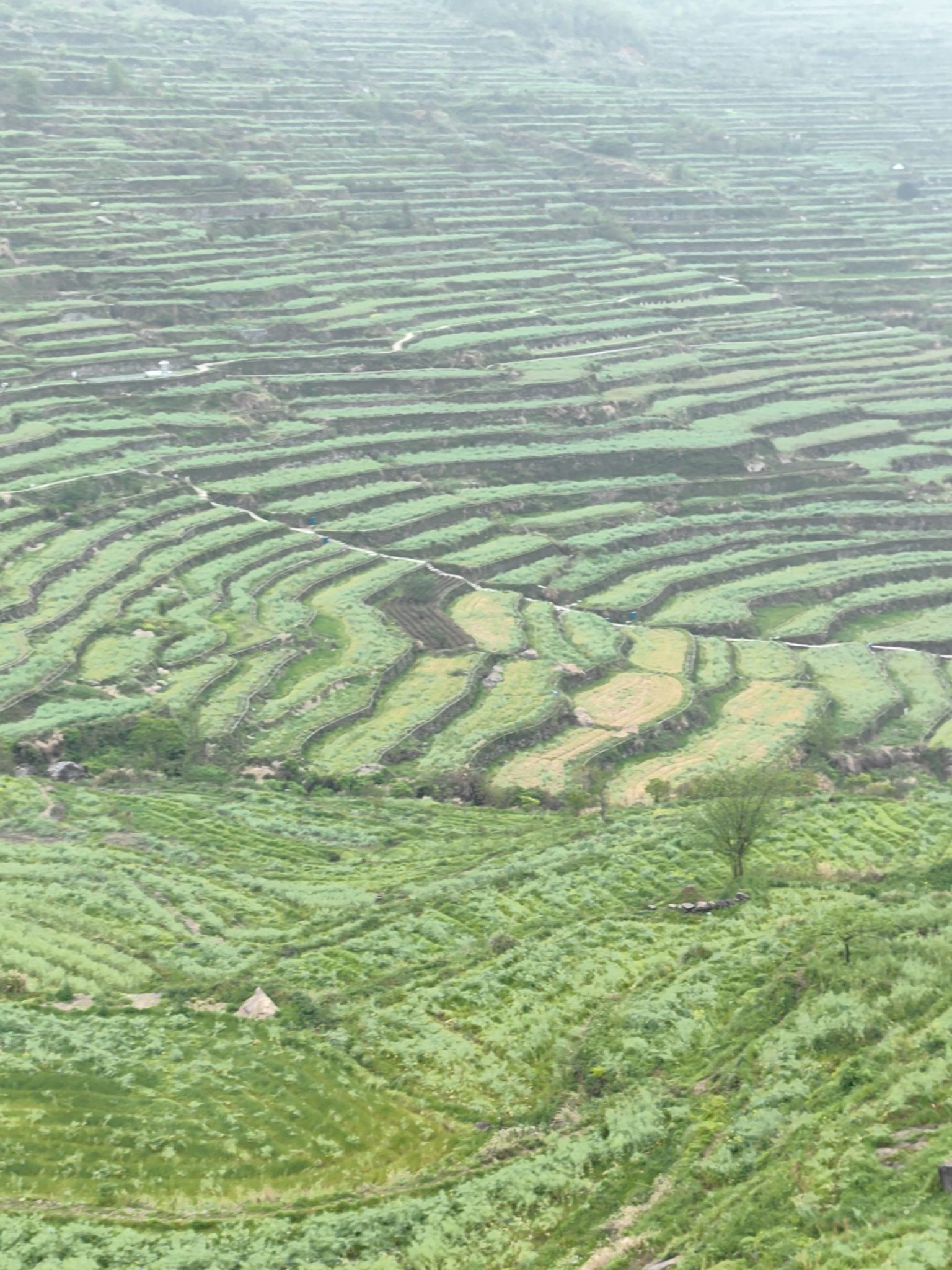 覆卮山景区