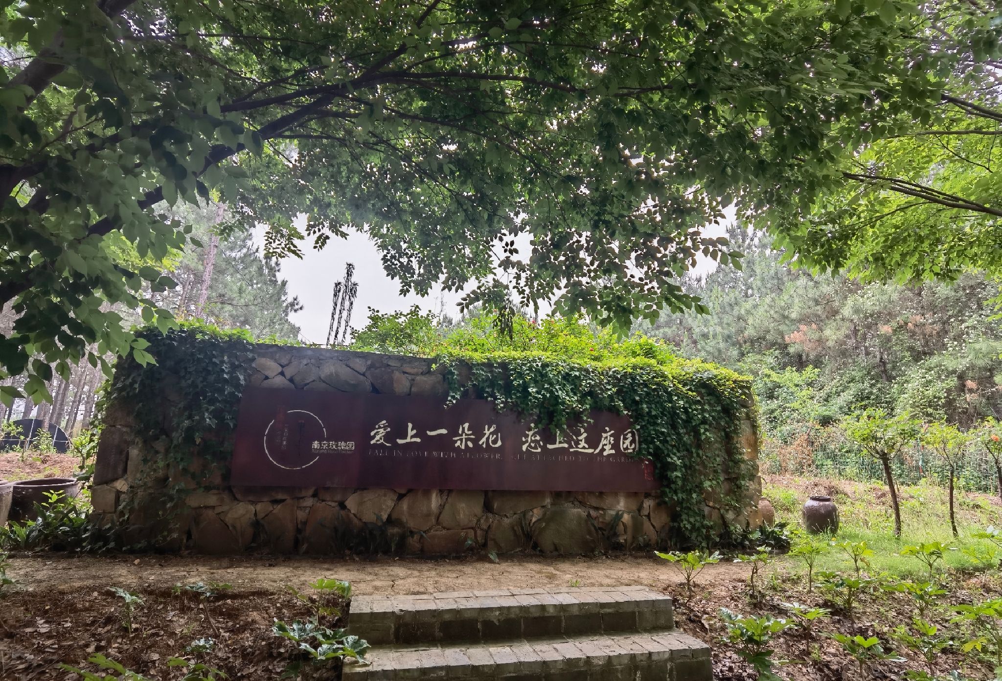 南京玫瑰园