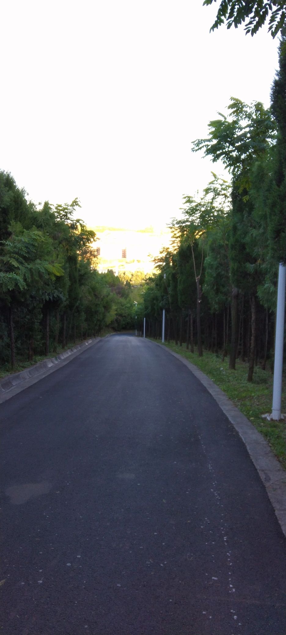 凤西生态公园
