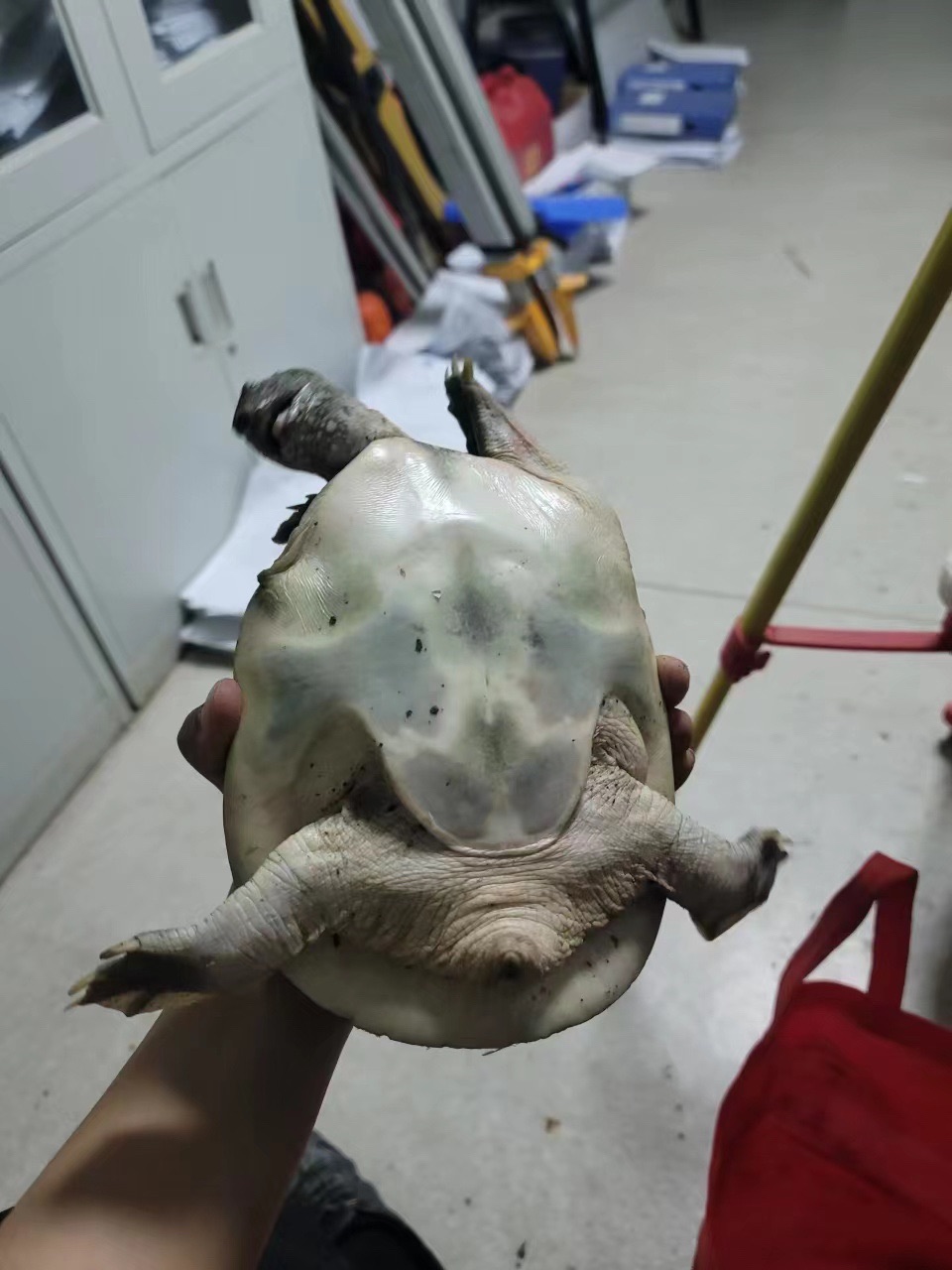 故道河