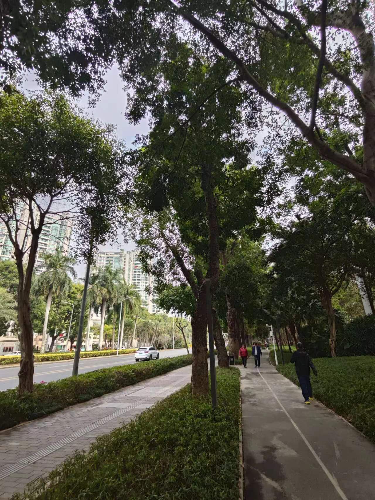 福荣都市绿道