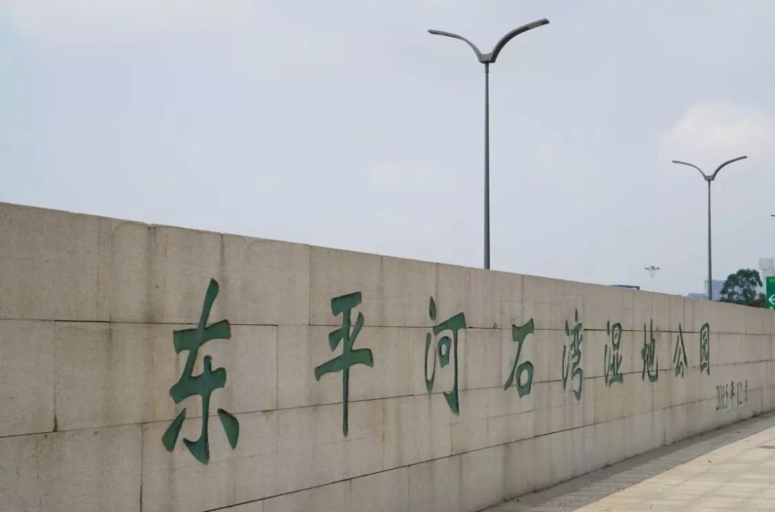 东平水道河堤公园旅行图片