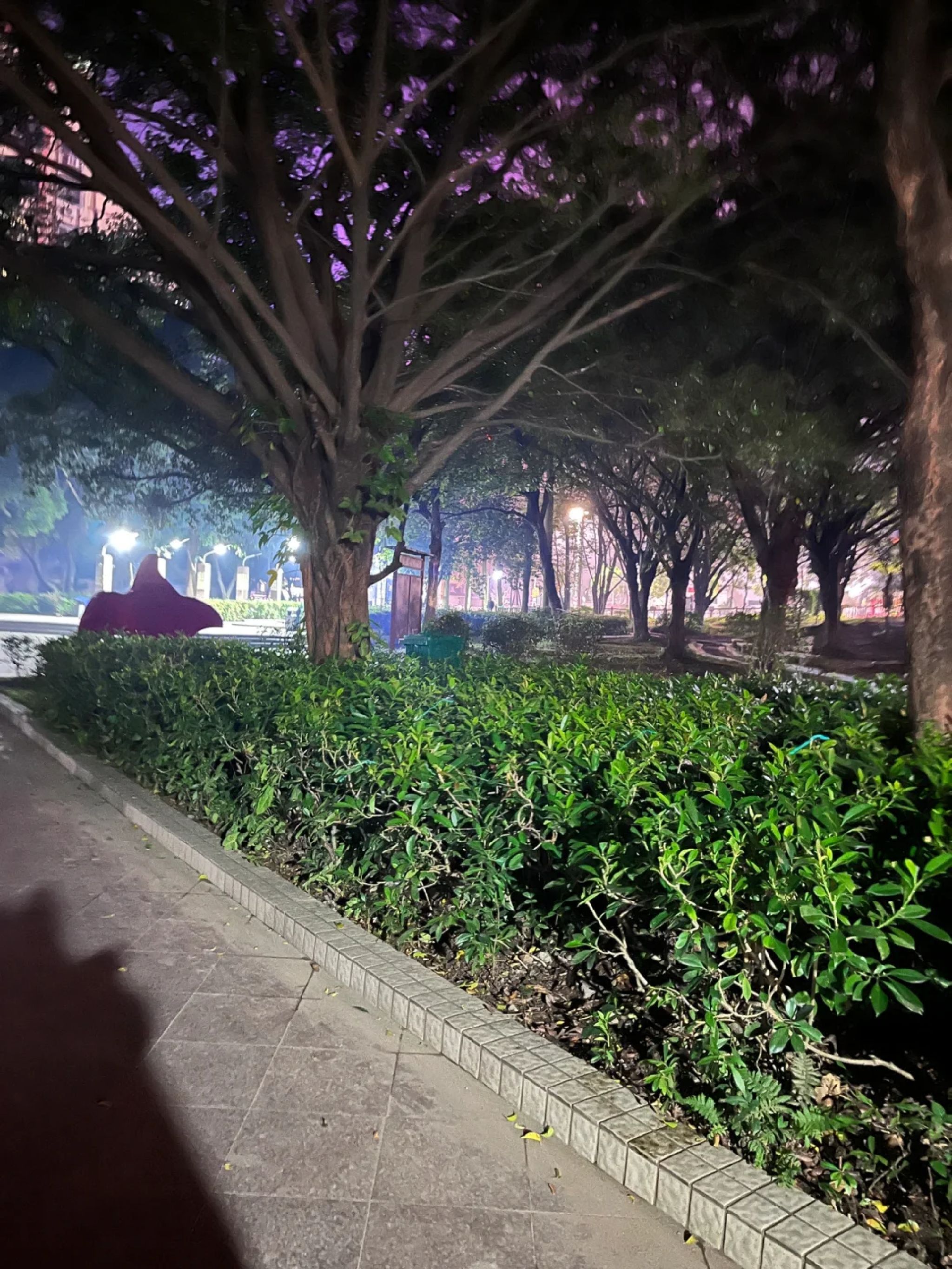 厦寺公园