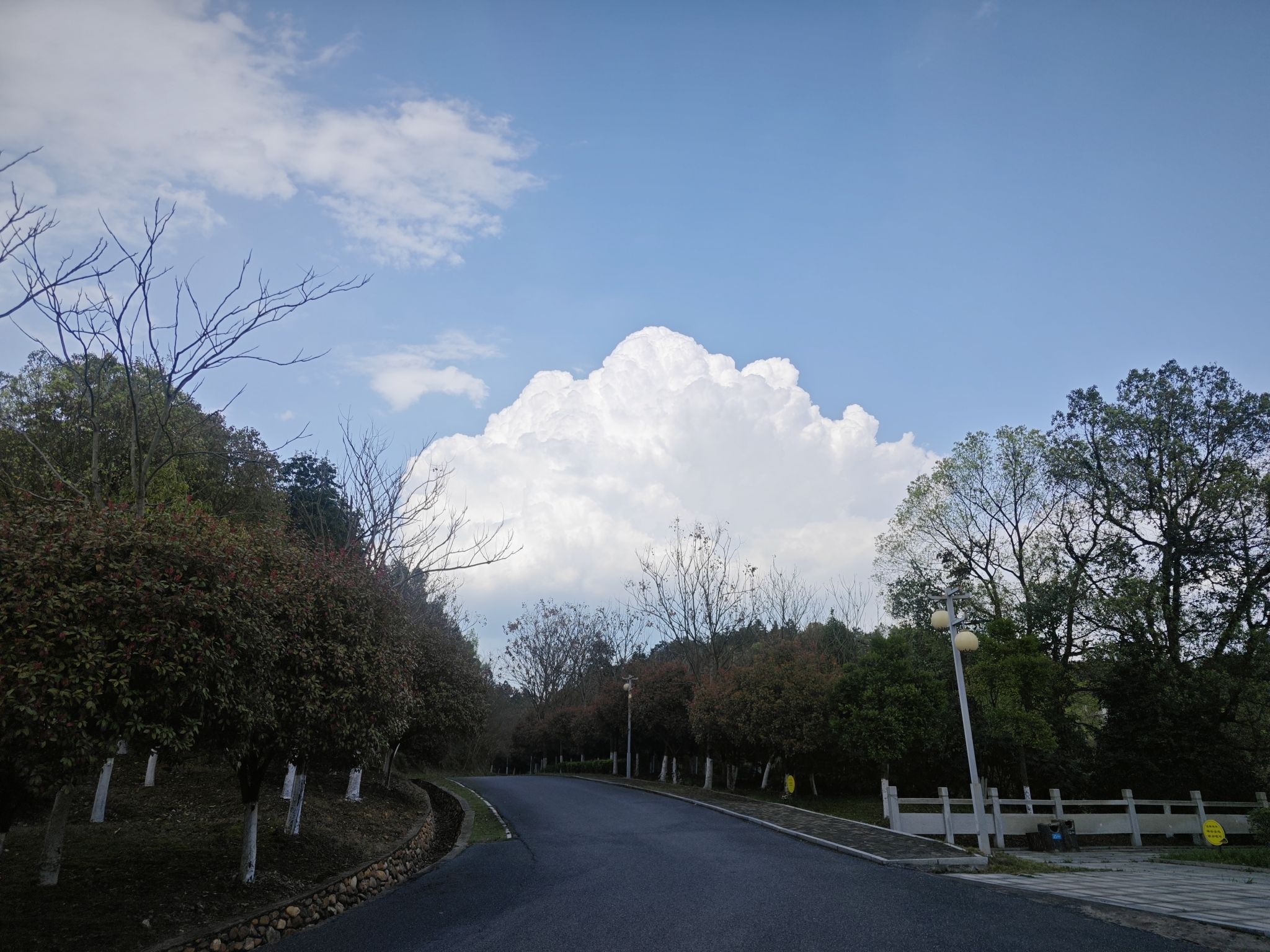 宜春禅都文化博览园旅行图片