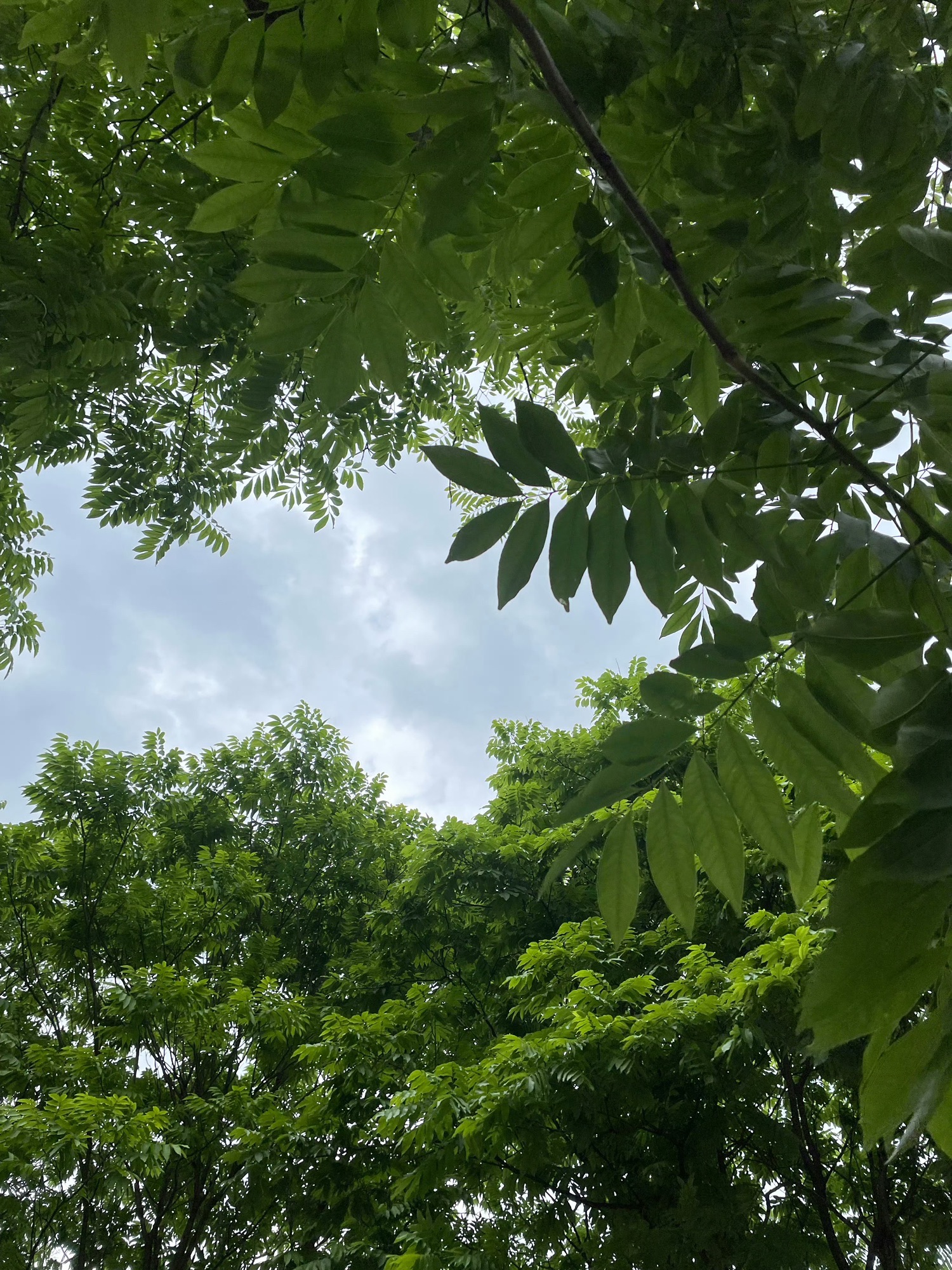 宜春禅都文化博览园旅行图片
